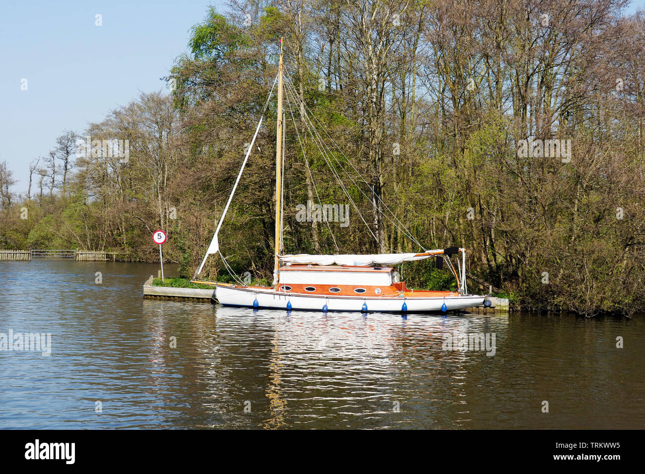 A traditional wooden Broads sailing cruiser moored at Salhouse Broad, Norfolk. Stock Photo