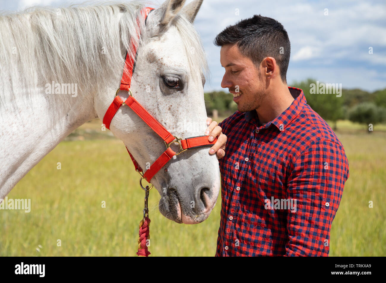 Side view of young male in checkered shirt gently touching head of white horse with red bridle while standing in countryside field on cloudy day Stock Photo