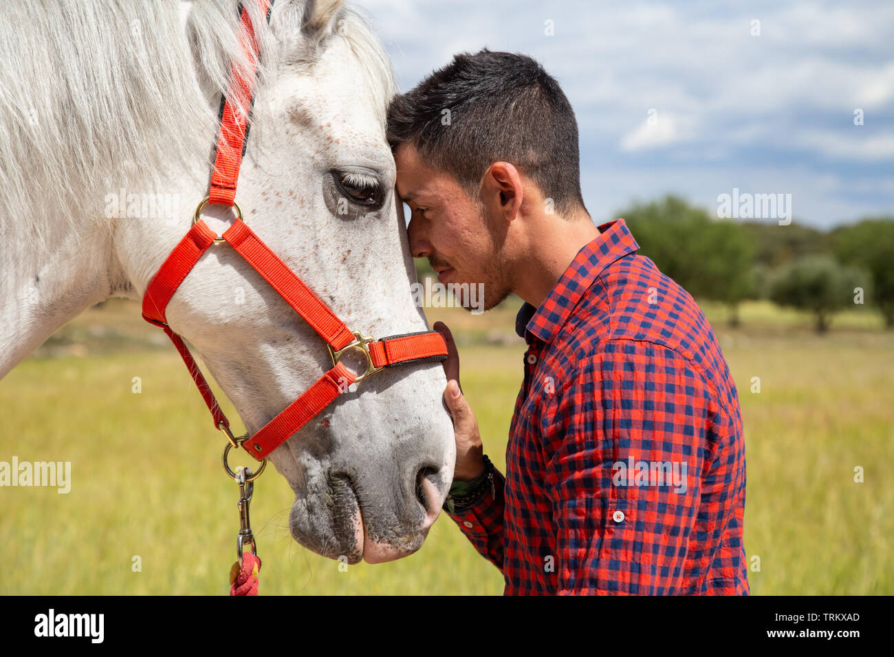 Side view of young male in checkered shirt gently touching head of white horse with red bridle while standing in countryside field on cloudy day Stock Photo