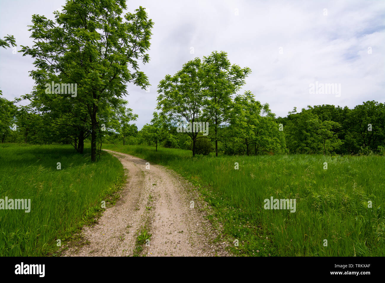 Dirt road through the Midwest countryside. Serena, Illinois, USA Stock