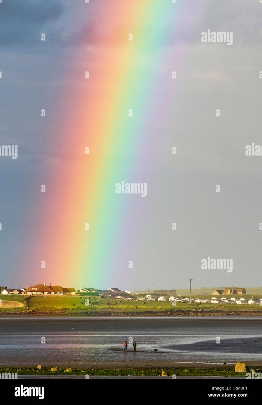 Tyrella Tyrella, County Down, Northern Ireland. 08th June 2019. UK weather - a ...
