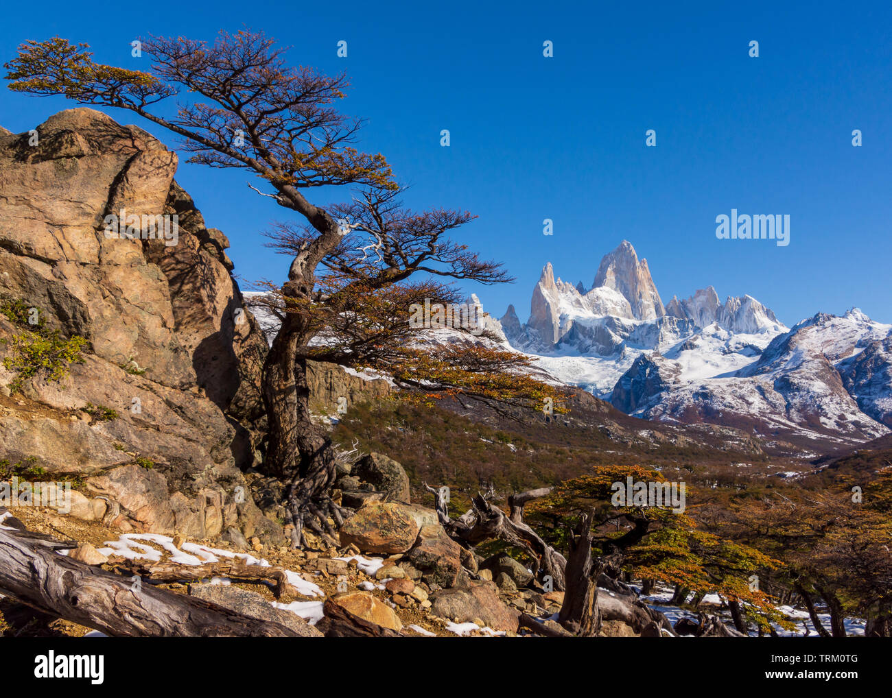 A view of the Fitz Roy mountain, part of the Andean mountain range outside the town of El Chalten in the Patagonia region of Argentina. Stock Photo