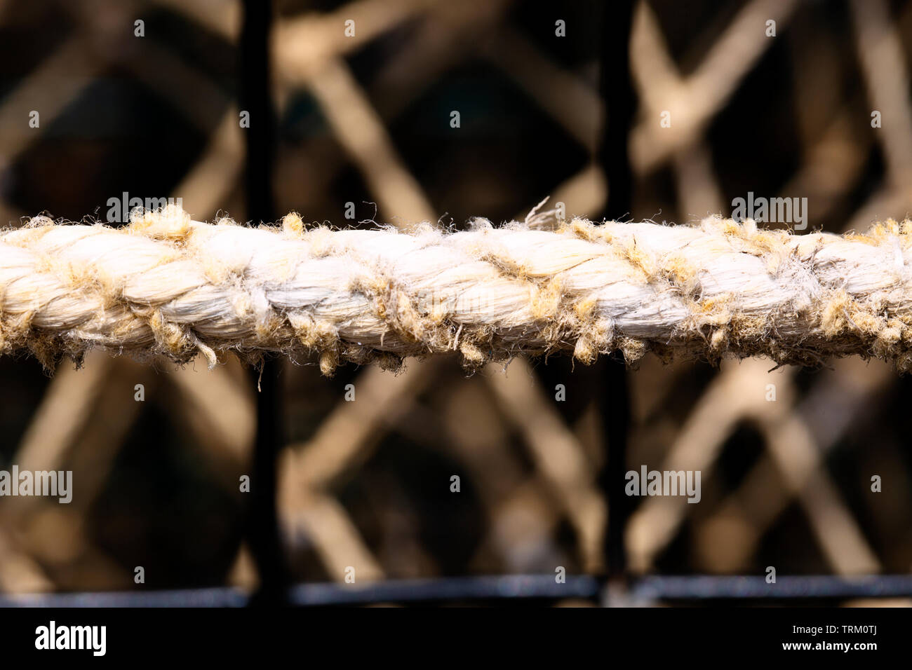 Closeup of lobster pots on Cape Cod in Wellfleet MA Stock Photo Alamy