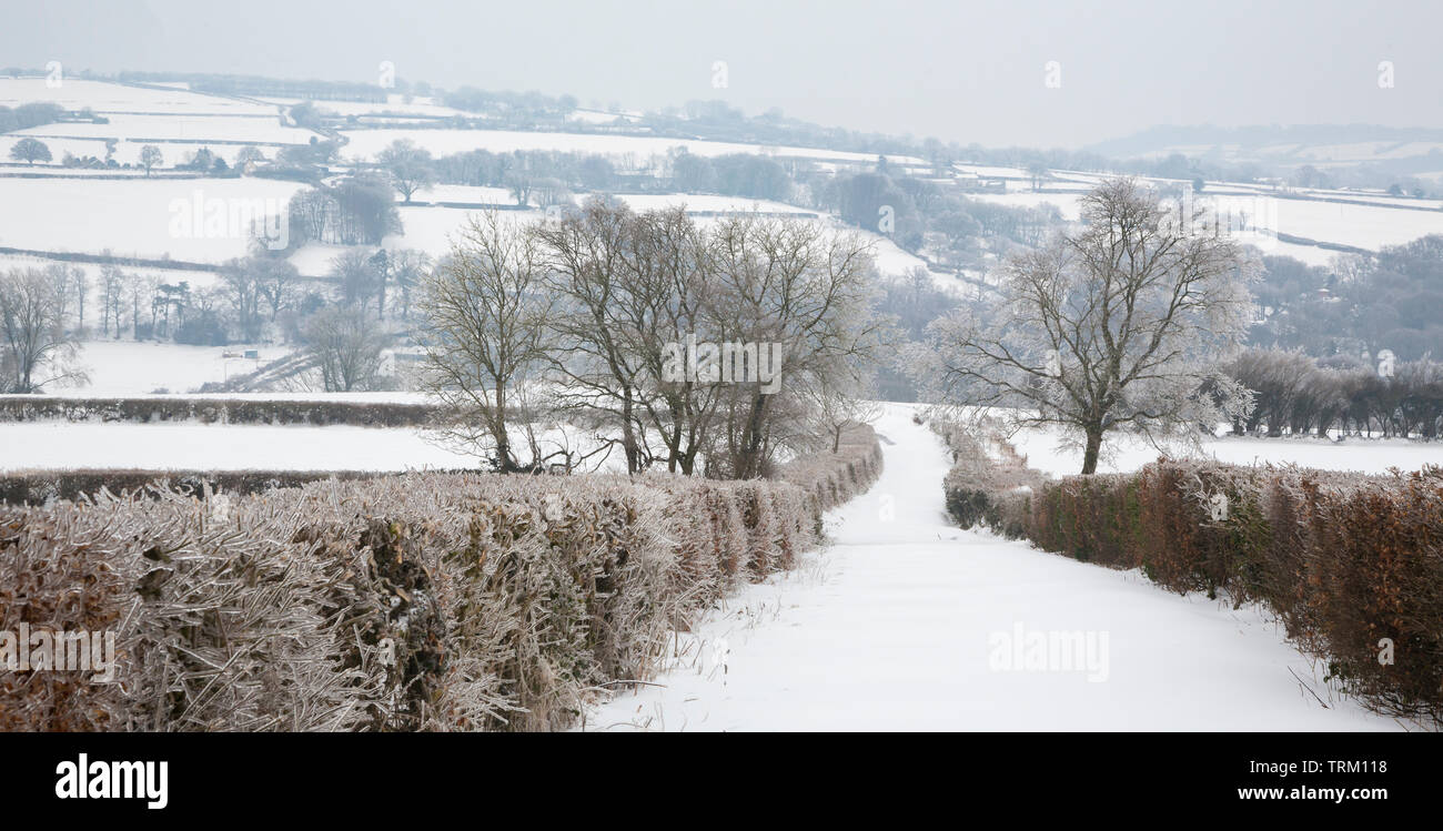 snowy covered road and fields in Somerset during the 'Beast from the East' storm March 2018 showing the effect of freezing rain on hedges Stock Photo