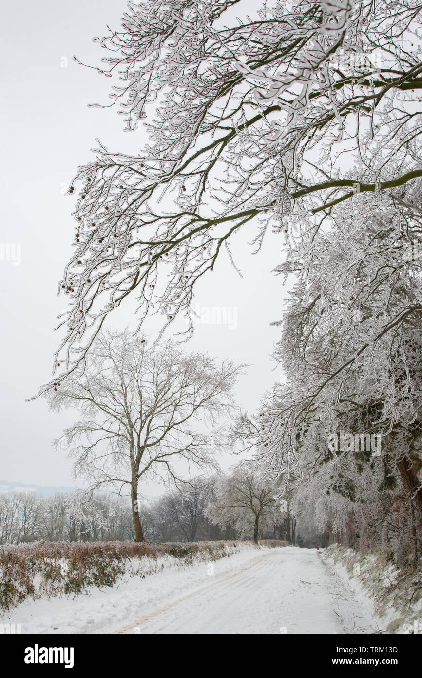snowy covered road and fields in Somerset during the 'Beast from the East' storm March 2018 showing the effect of freezing rain on hedges and trees Stock Photo