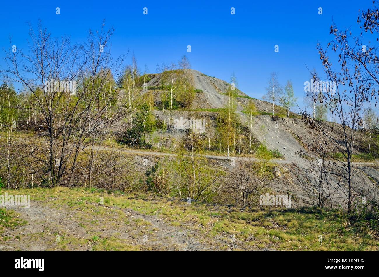 Coal industry in Poland. Mine heap in the spring scenery. Stock Photo