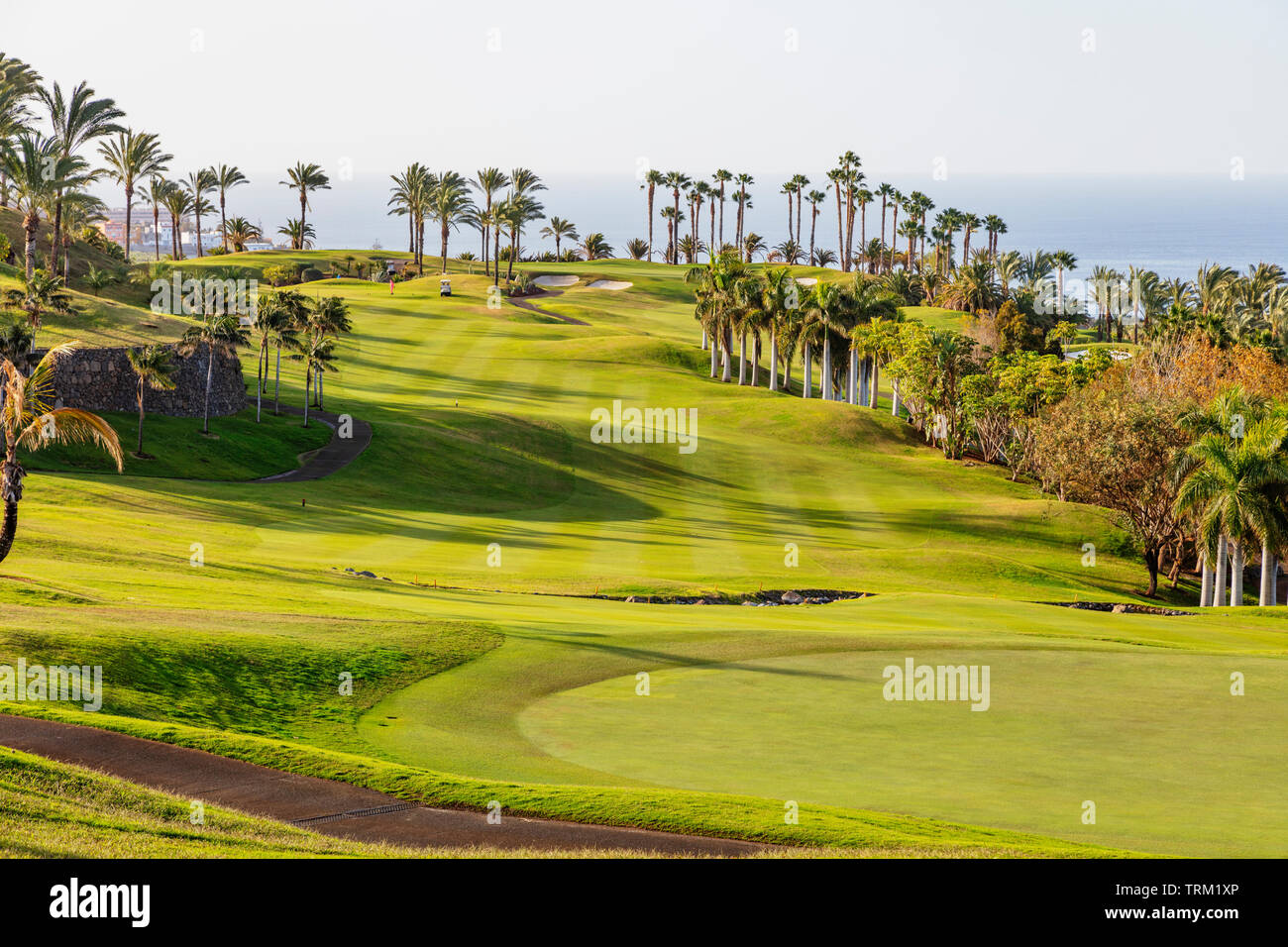 Europe, Spain, Canary Islands, Tenerife, Abama golf course Stock Photo -  Alamy