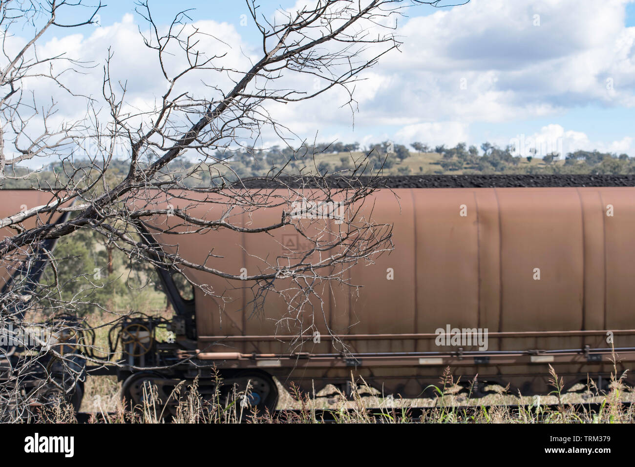 Rail freight cars carry coal to the port at Newcastle from mines in the upper Hunter Valley in New South Wales, Australia Stock Photo