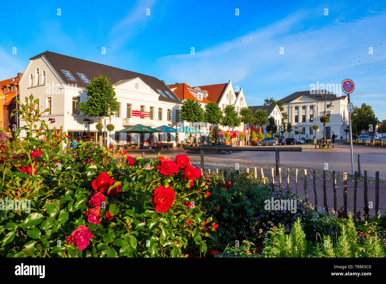 Jever, Germany, 09/29/2015: Alter Markt (old market) with Sagenbrunnen (Fountain of Legends) and flowering roses in the foreground in the City of Jeve Stock Photo