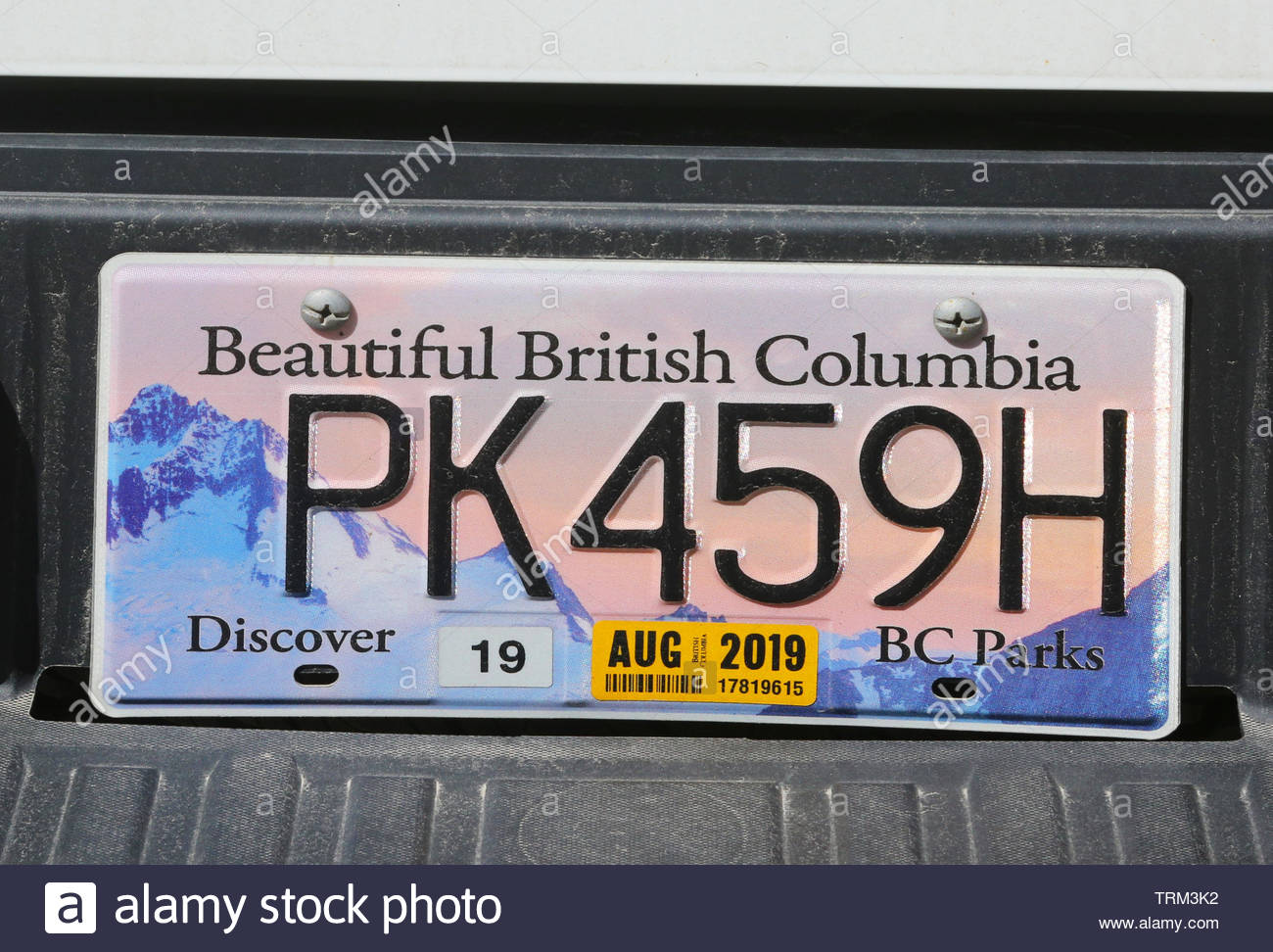 Flag of Prince Edward Island Canada Art Metal License Plate Vanity Car Plate 6 X 12