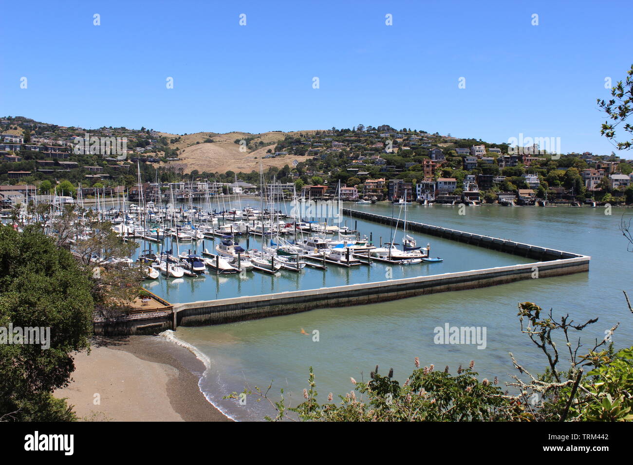 San Francisco Yacht Club Marina, Belvedere, California Stock Photo