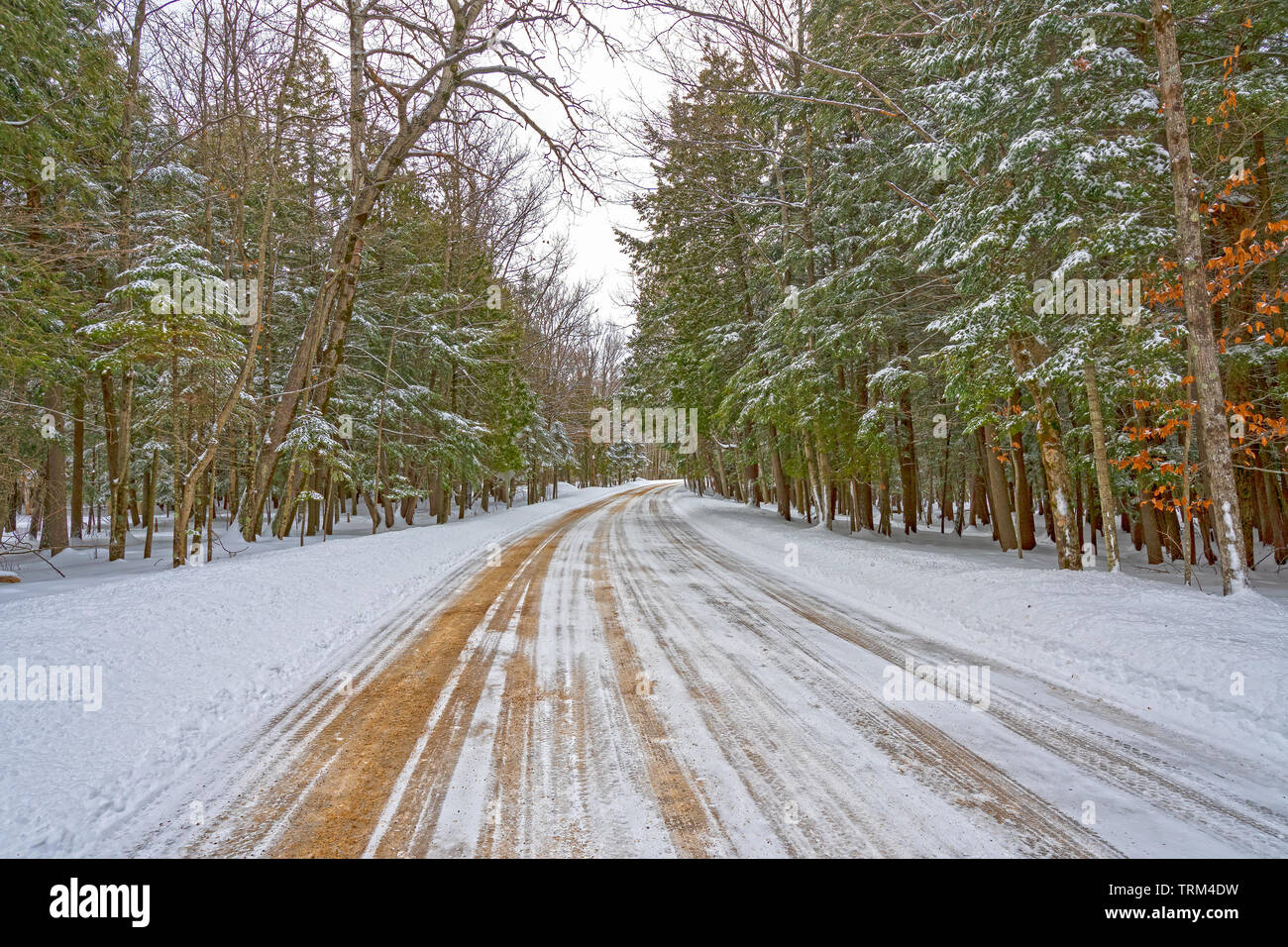 Rural Road through the Winter Forest in Peninsula State Park in Wisconsin Stock Photo