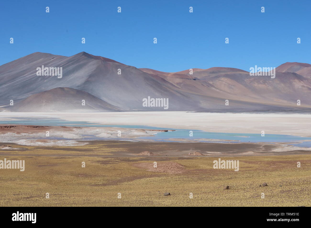 Lagunas Altiplanicas - Deserto de Atacama - Atacama Desert - Antofagasta - Chile Stock Photo