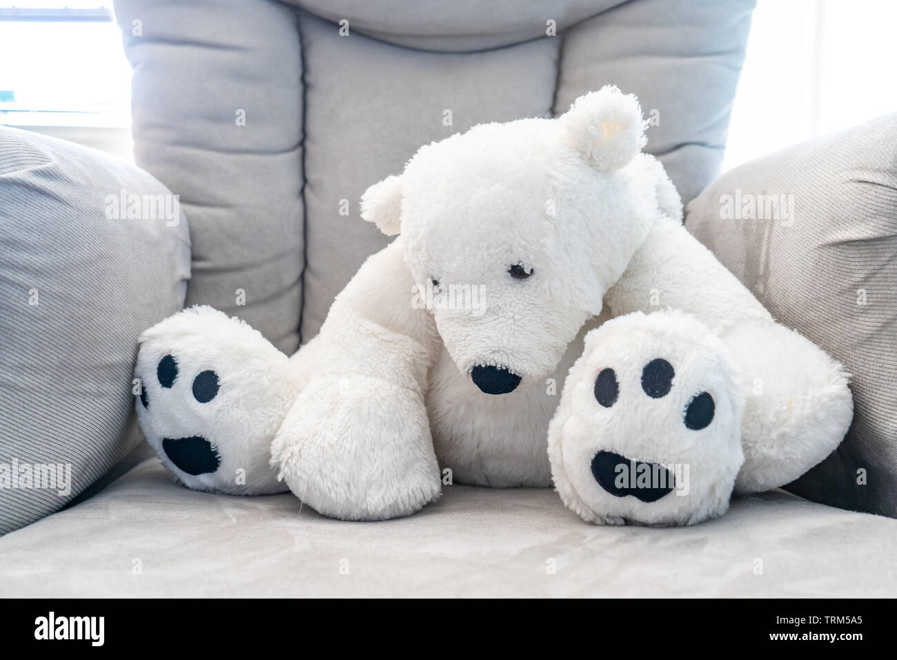Teddy bear sitting on chair hires stock photography and images Alamy