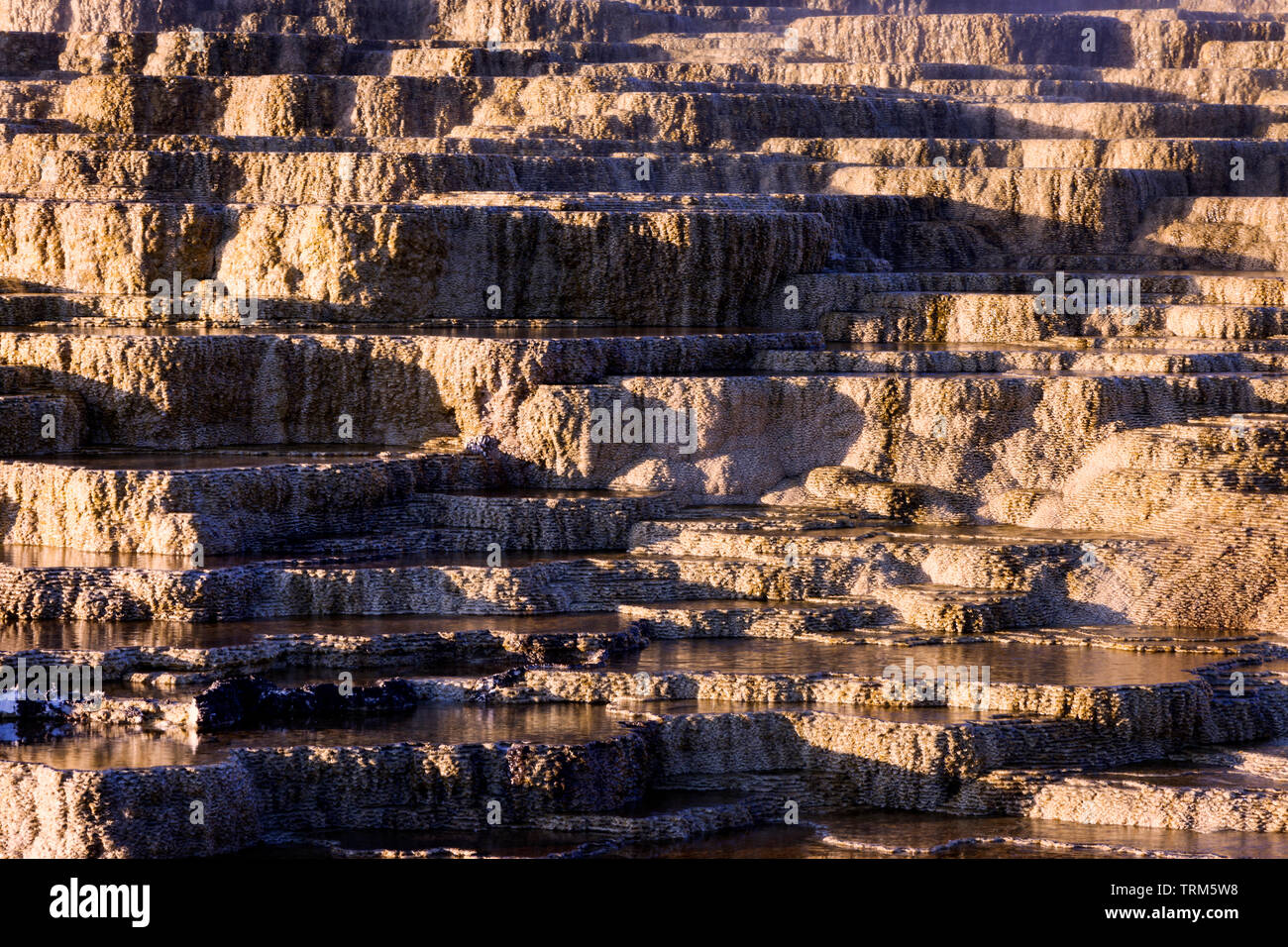 Minerva Terrace in Mammoth Hot Springs at Yellowstone National Park. Stock Photo