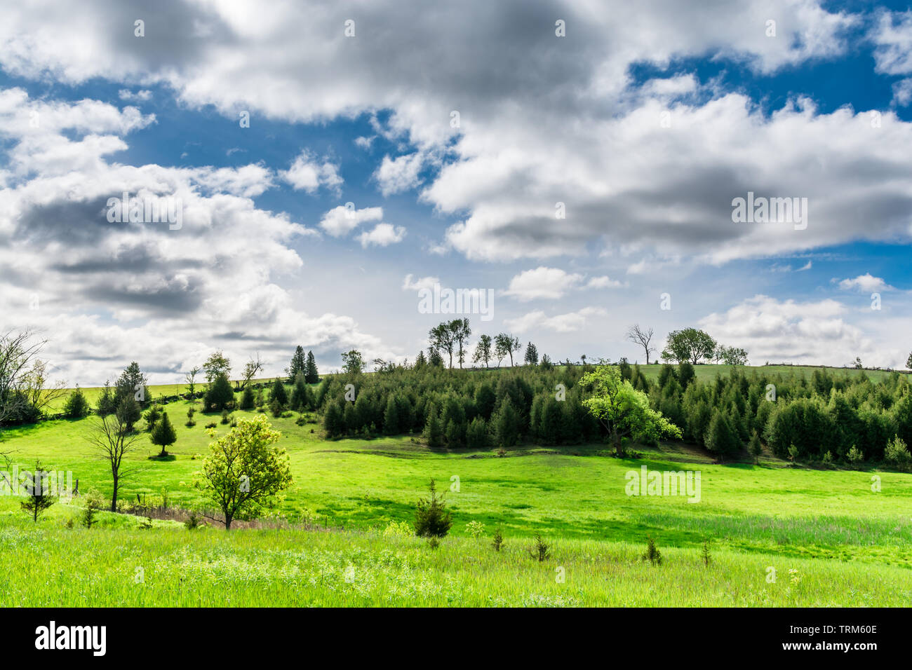 Rural landscape scene hi-res stock photography and images - Alamy