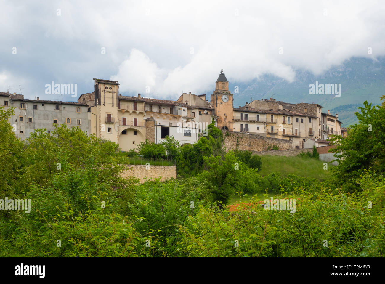 Grey ghost of the mountain hi-res stock photography and images - Alamy