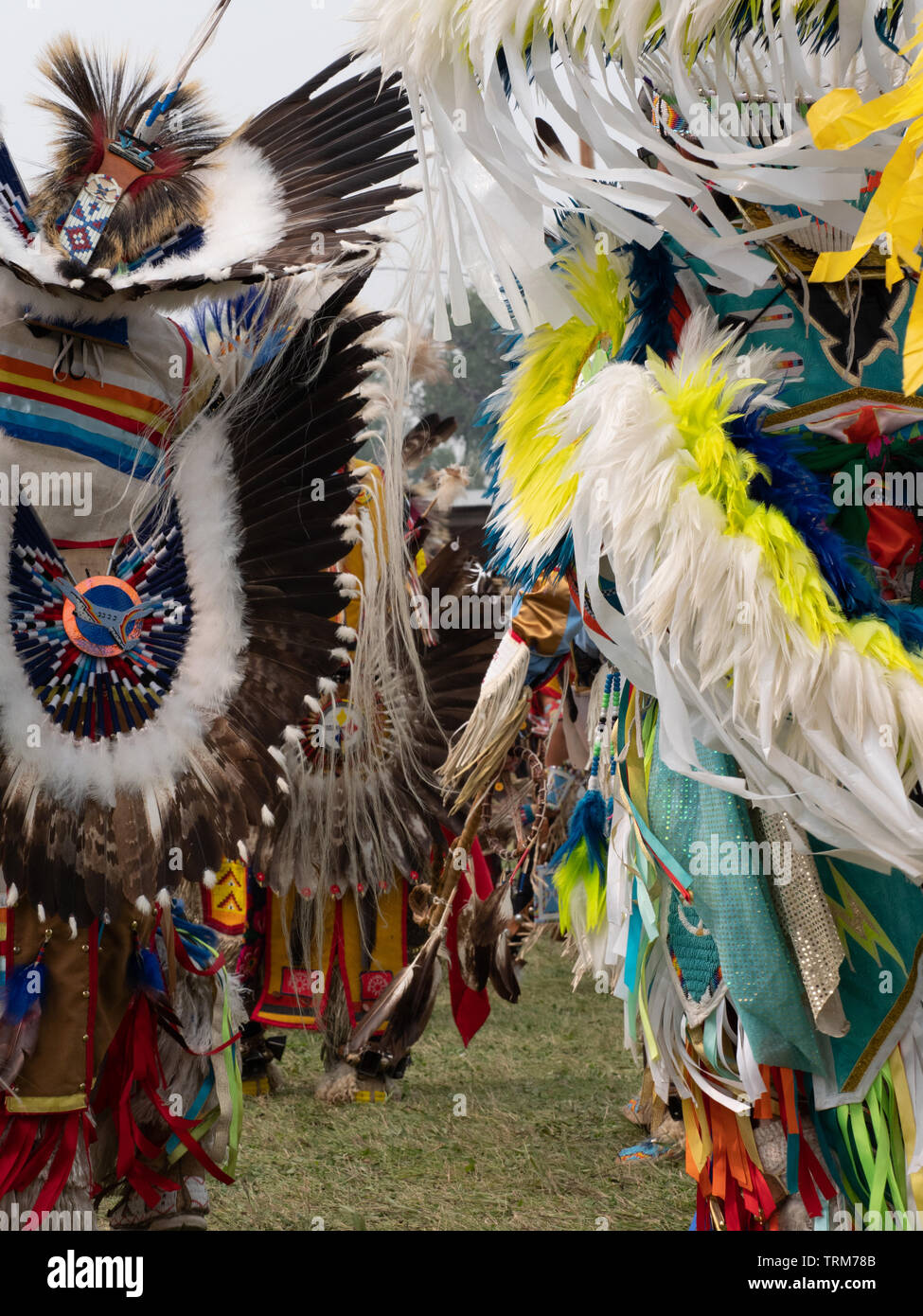 Two rows of fancy dancers entering a pow wow wearing feathered