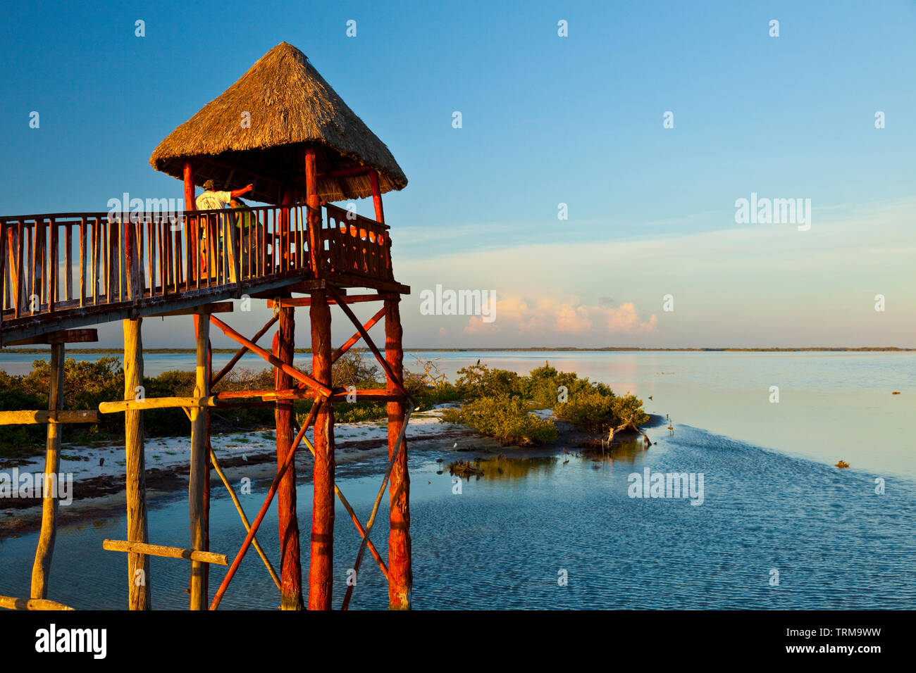 Observatorio, Isla Pájaros, Isla Holbox,  Estado Quntana Roo, Península Yucatán, México Stock Photo