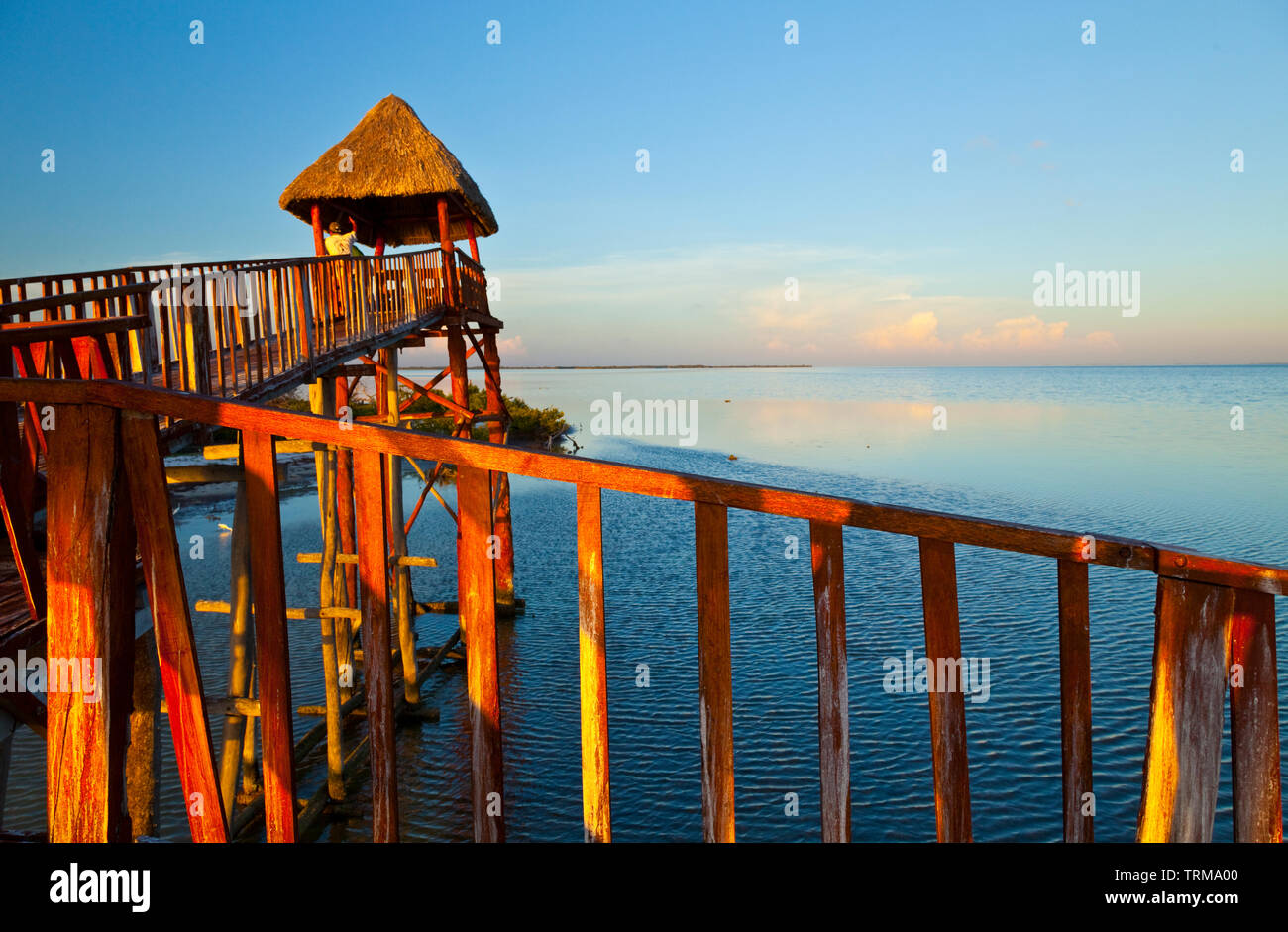 Observatorio, Isla Pájaros, Isla Holbox,  Estado Quntana Roo, Península Yucatán, México Stock Photo