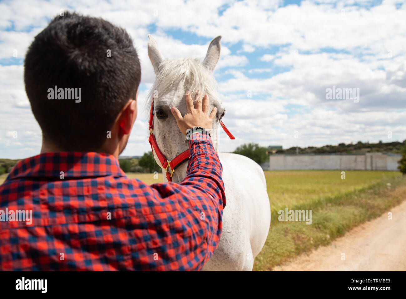 Back view of young male putting hand on forehead of white horse against cloudy sky in field Stock Photo