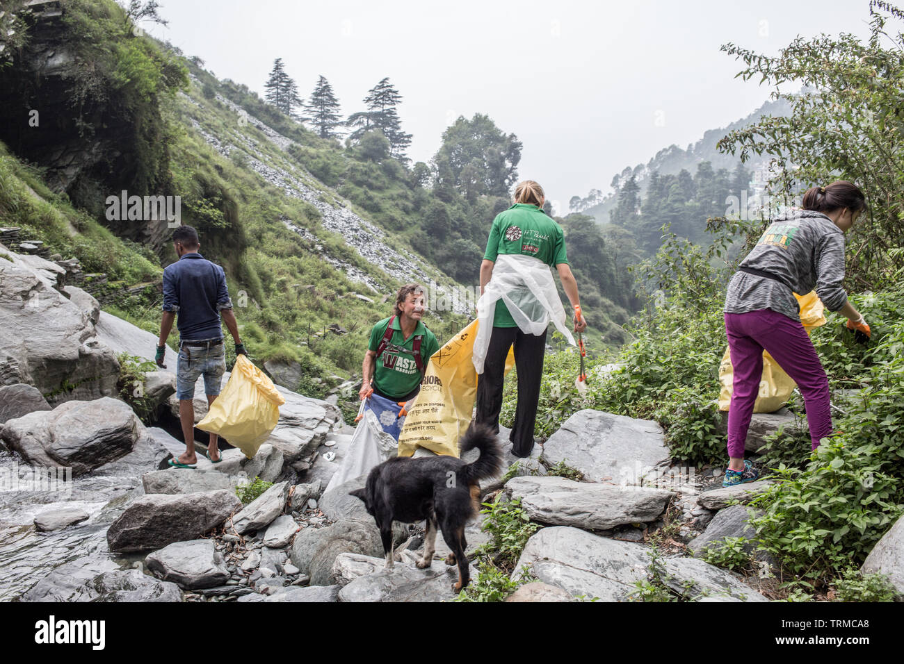 Volunteers for the organisation 'Waste Warriors' are cleaning a waterfall in north India Stock Photo