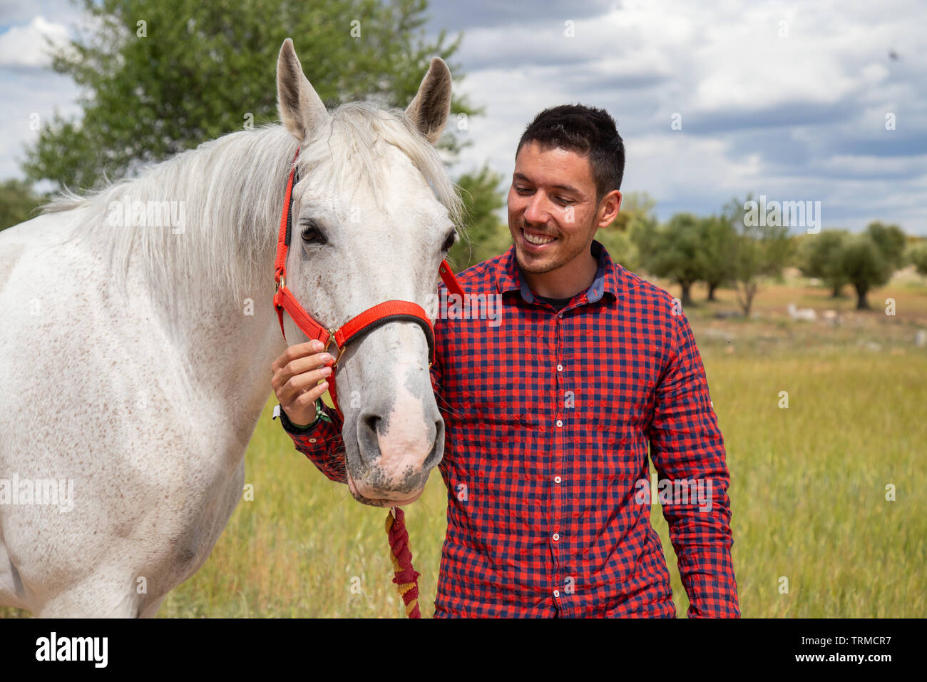 Young man touching white horse affectionately Stock Photo