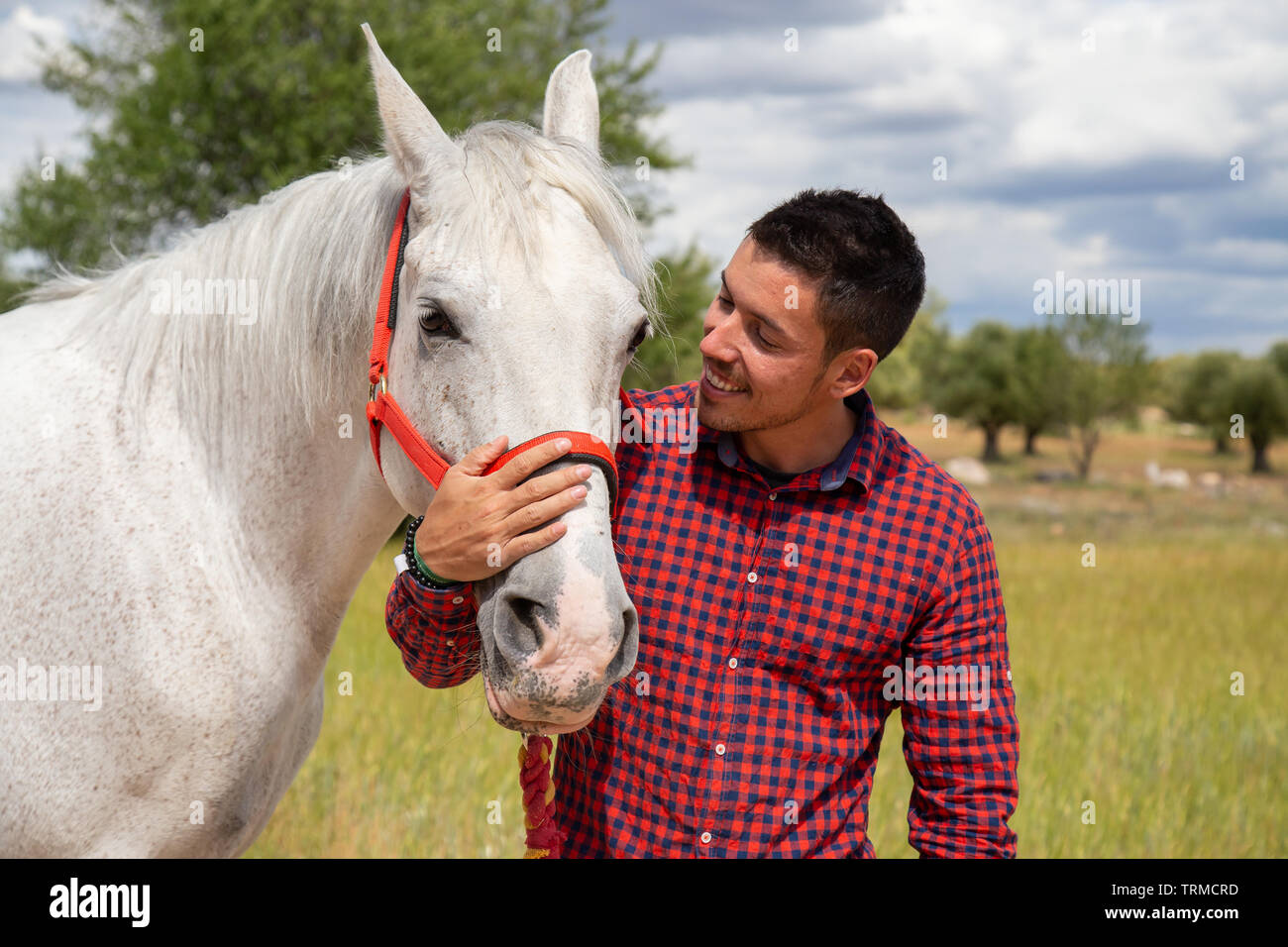 Young man touching white horse affectionately Stock Photo