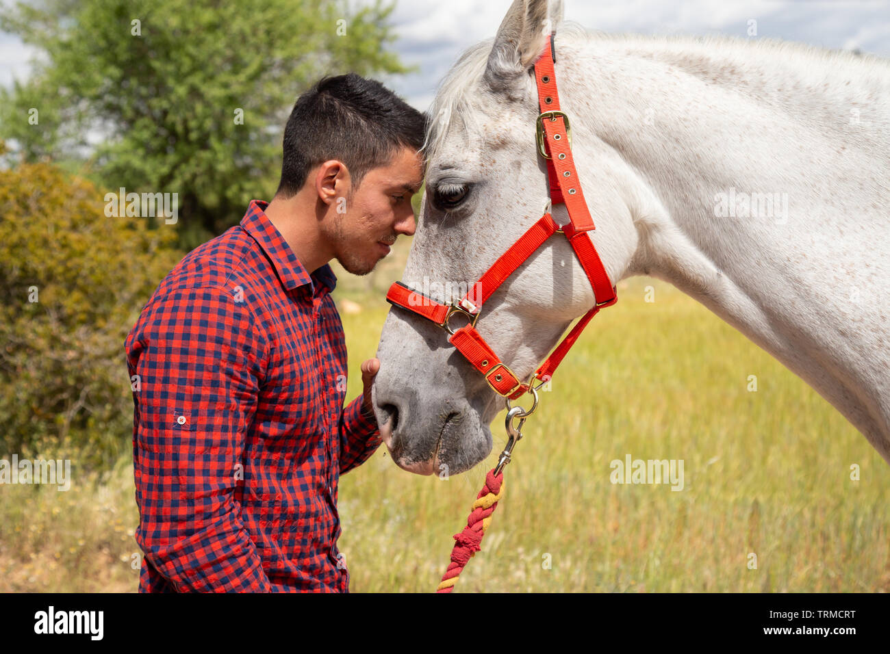 Side view of young male in checkered shirt gently touching head of white horse with red bridle while standing in countryside field on cloudy day Stock Photo