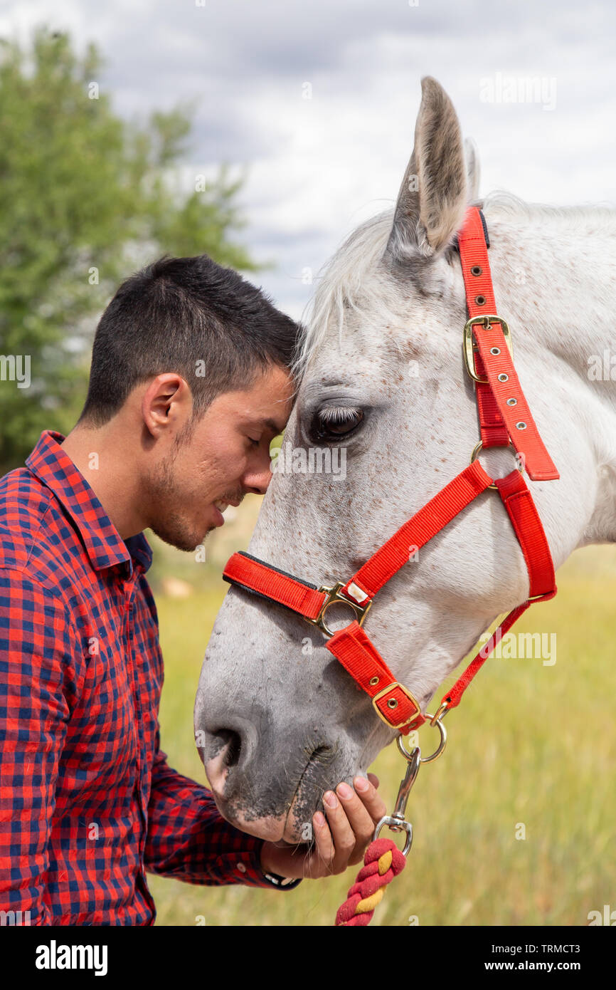 Side view of young male in checkered shirt gently touching head of white horse with red bridle while standing in countryside field on cloudy day Stock Photo