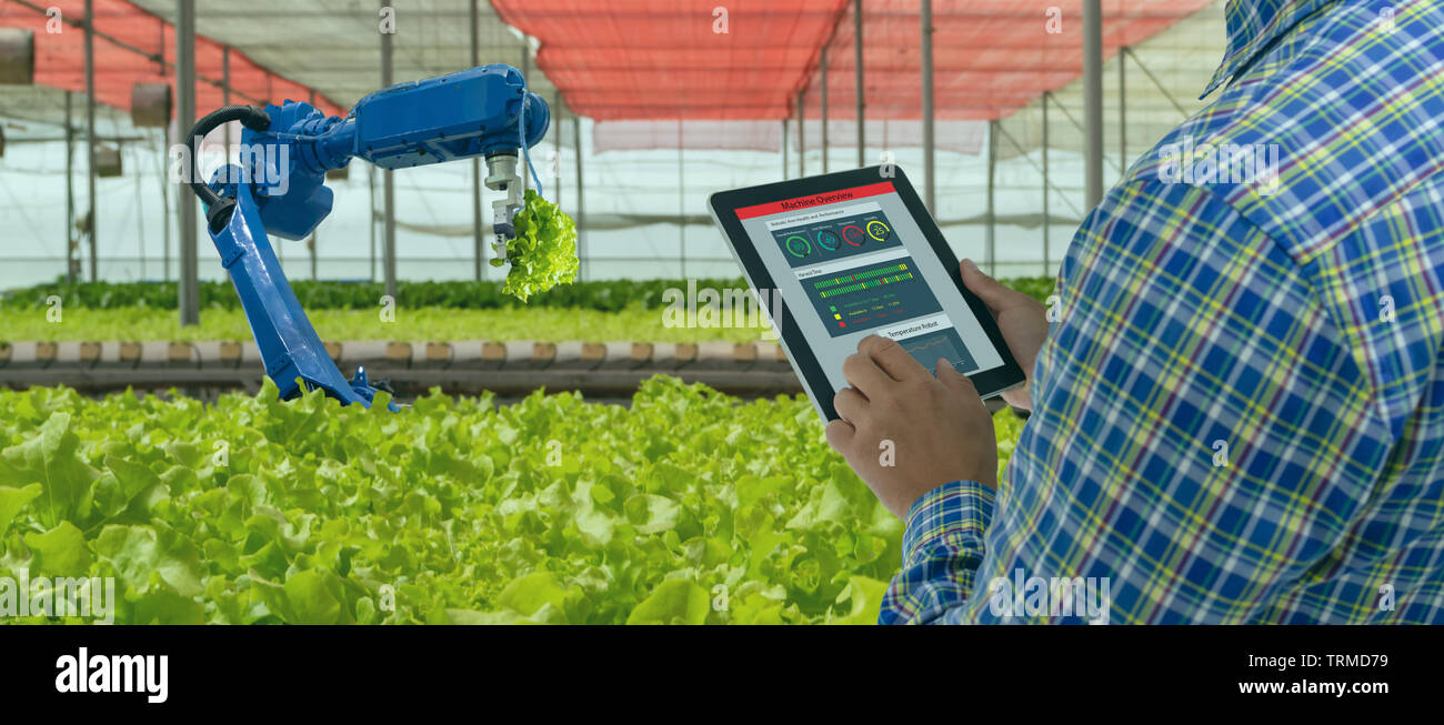 iot smart industry robot 4.0 agriculture concept,industrial agronomist,farmer using software Artificial intelligence technology in tablet to monitorin Stock Photo