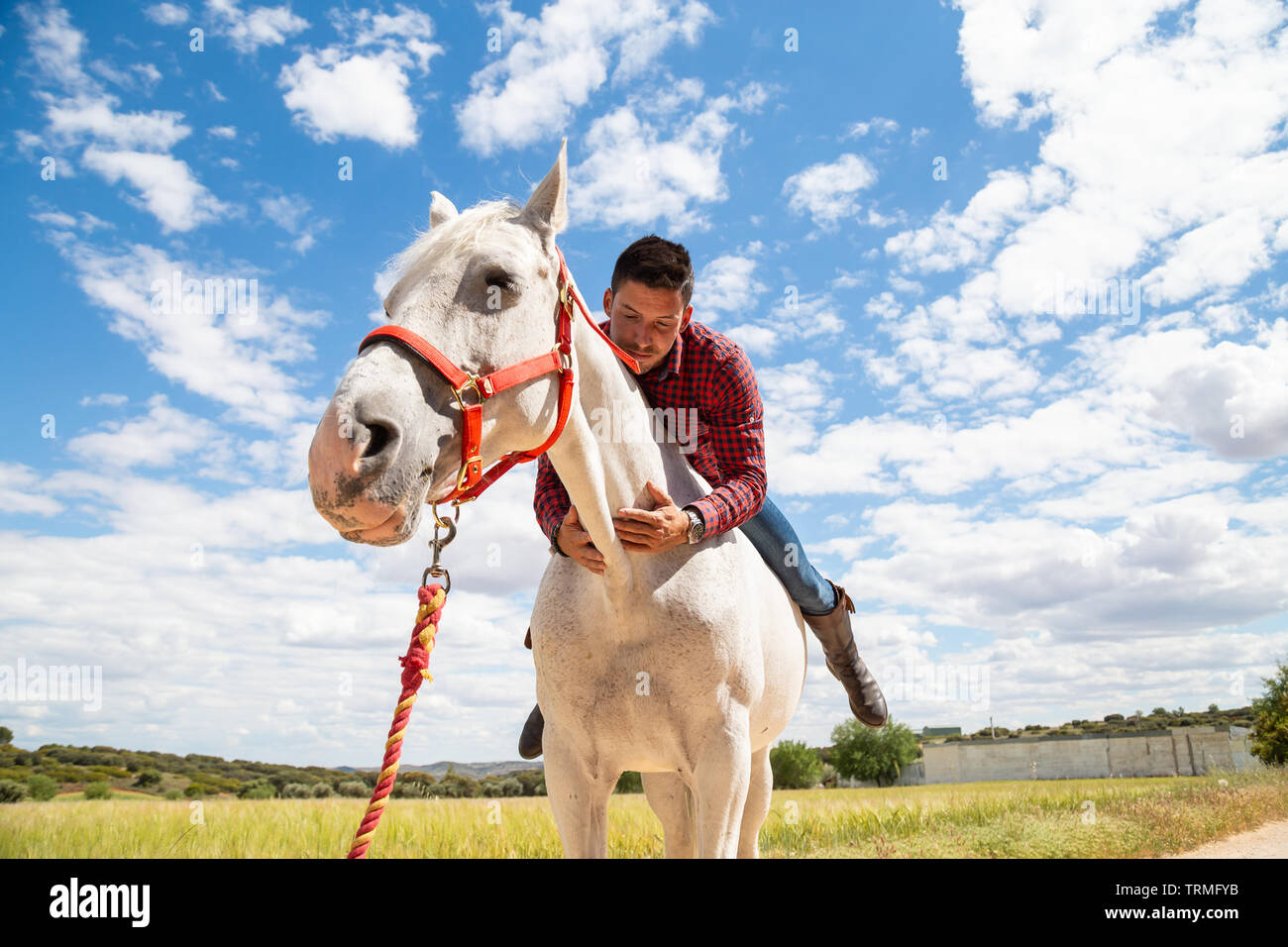 Excited young guy in casual outfit smiling and embracing neck of white horse during ride in field on cloudy day Stock Photo