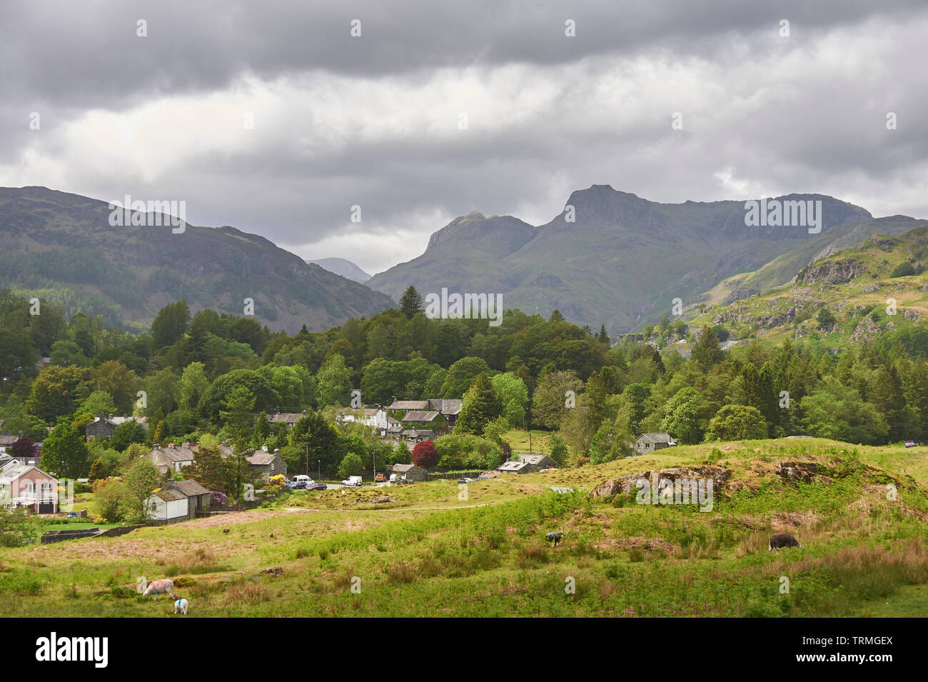 Langdale Pikes, Great Langdale, The Lake District National Park, Cumbria, England, UK, GB. Stock Photo