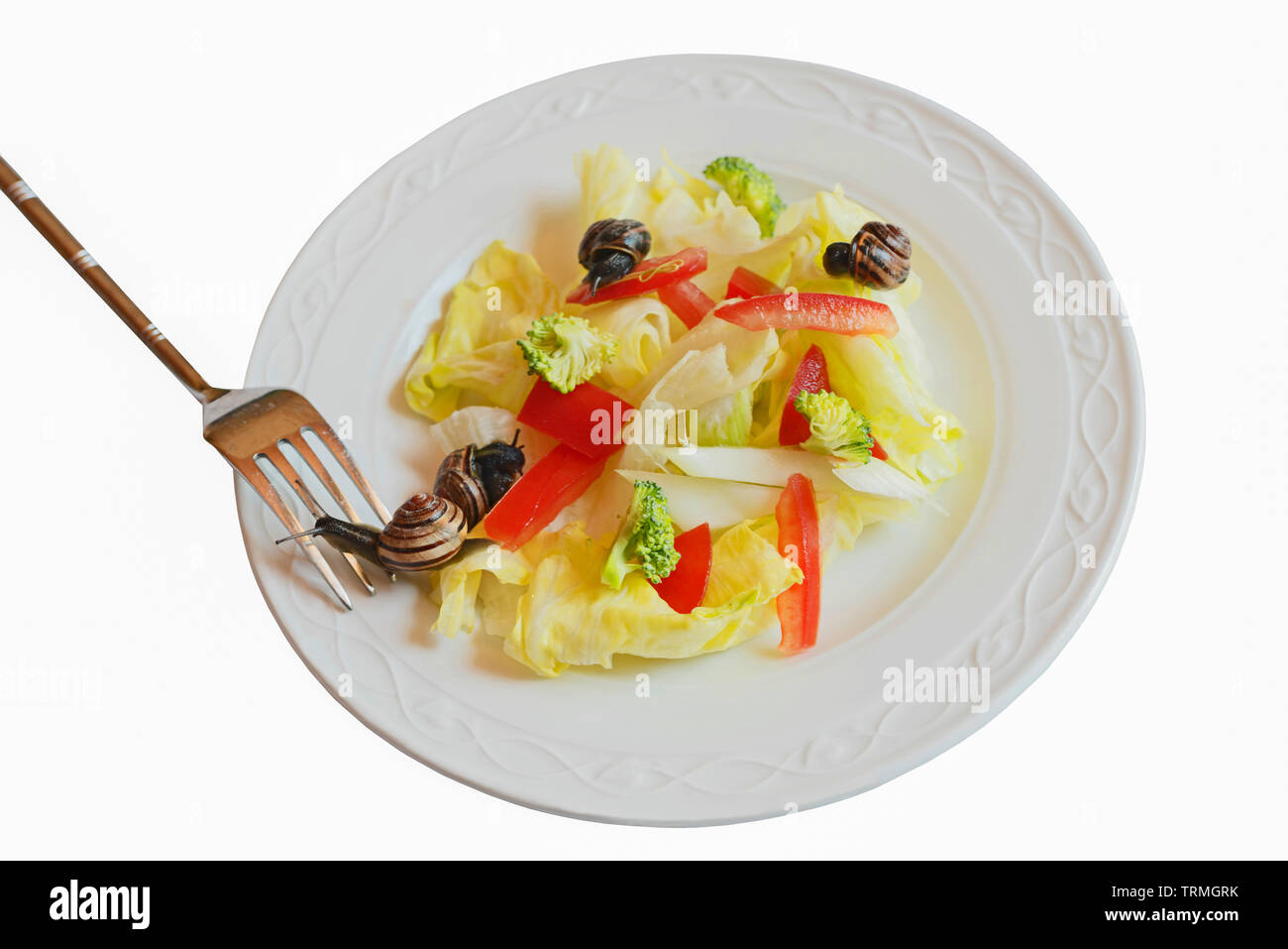 Plate of salad against white background with four live brown lipped snails, Cepaea nemoralis,, a parody on the concept of veganism, food fads recipes. Stock Photo
