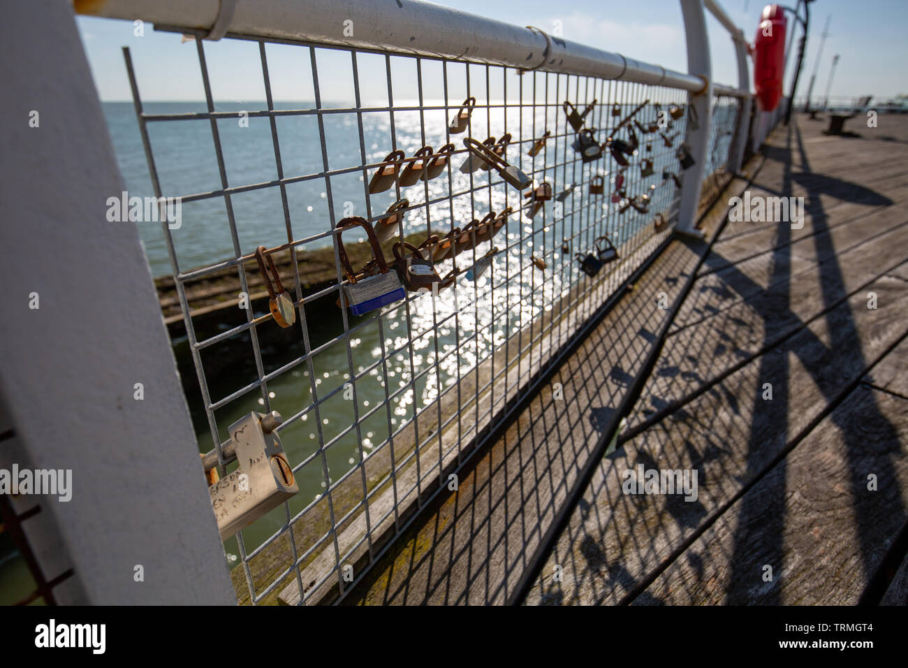 Lovers Padlocks on a Iron Fence Stock Photo