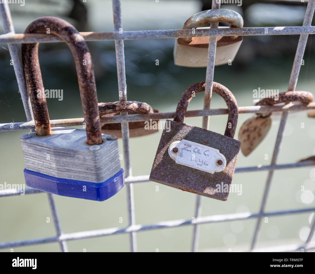 Lovers Padlocks on a Iron Fence Stock Photo