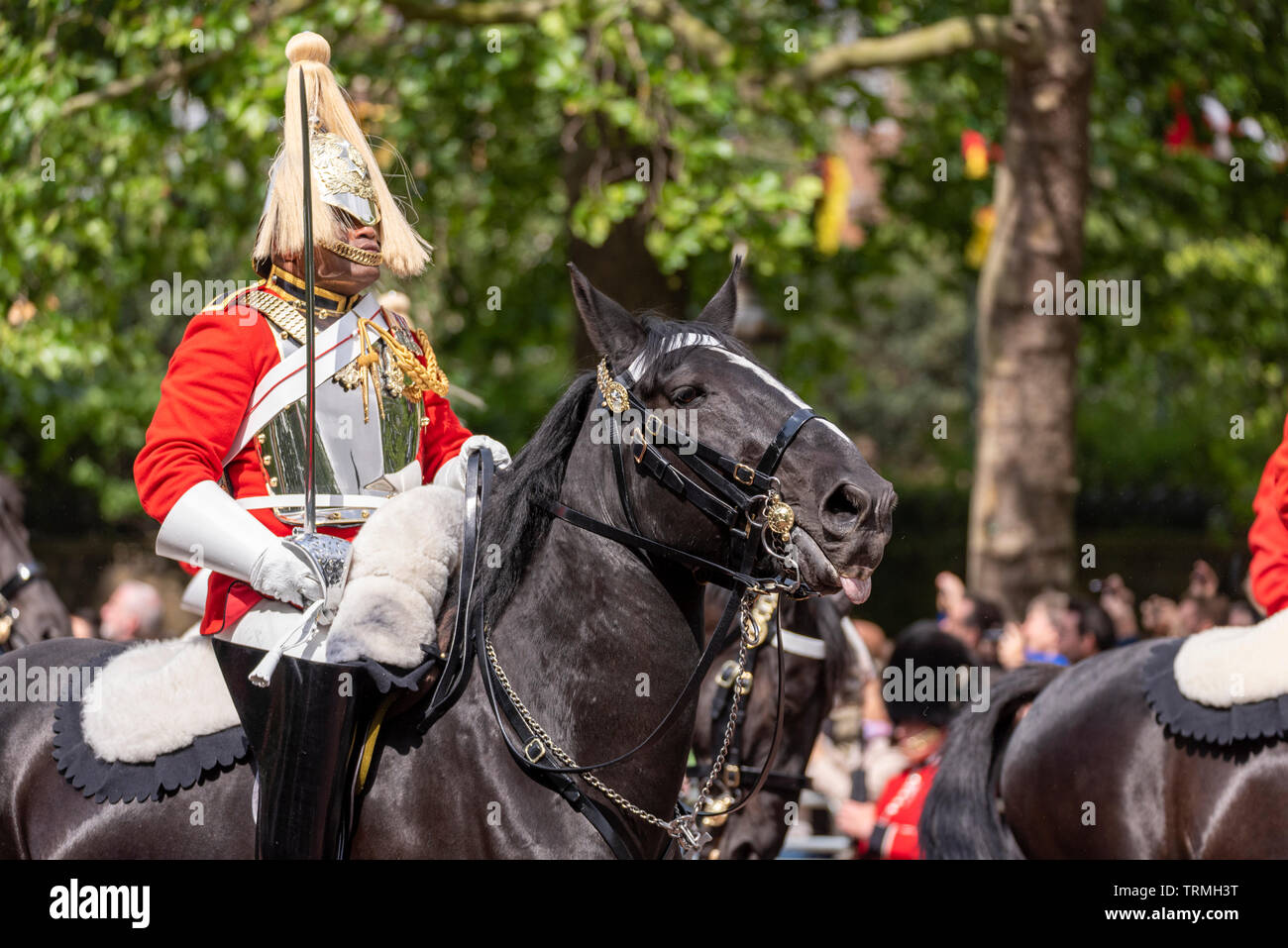 Life Guards cavalry regiment mounted soldiers at the Trooping the Colour 2019 in The Mall, London. Ceremonial uniform British Army Stock Photo