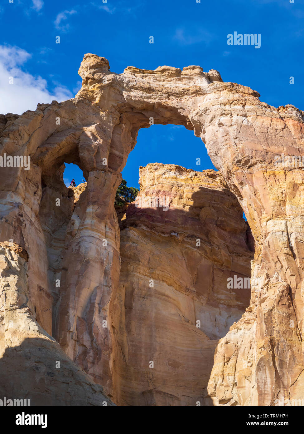 Grosvenor Arch, Cottonwood Wash Road 400, Grand Staircase-Escalante National Monument south of Cannonville, Utah. Stock Photo