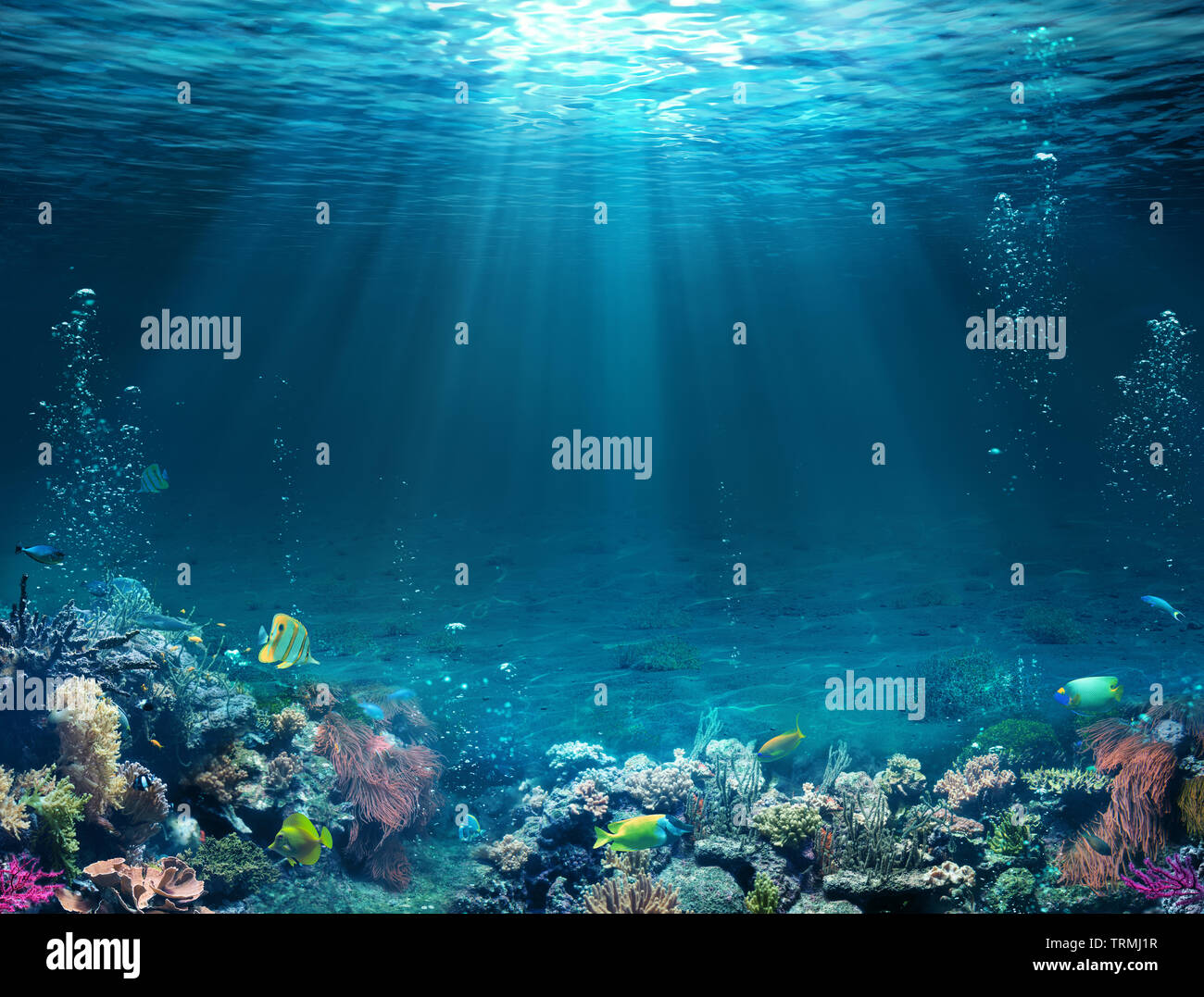 Underwater Scene Tropical Seabed With Reef And Sunshine Stock Photo