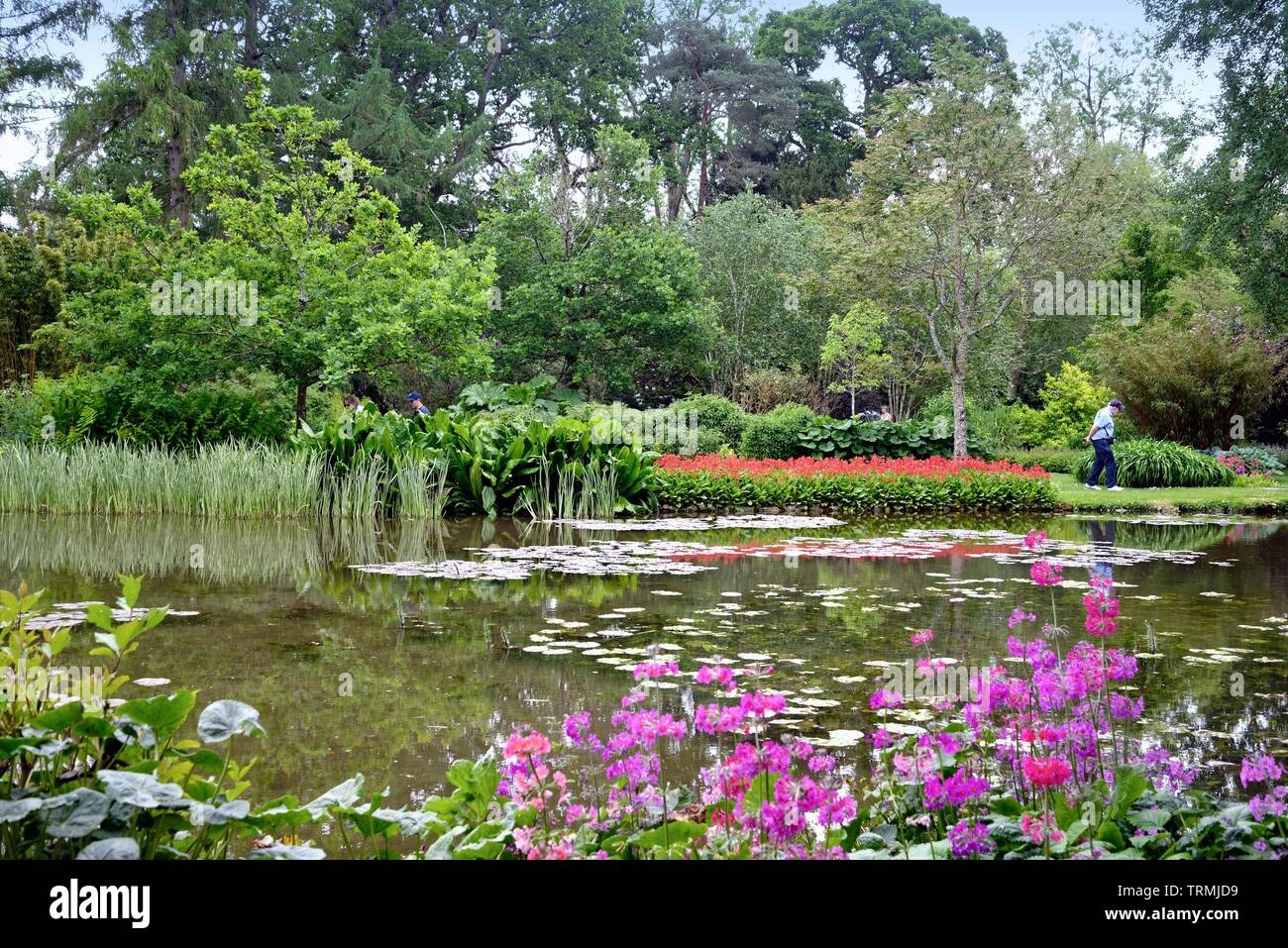 The Longstock Water Gardens, Leckford estate, Stockbridge Hampshire