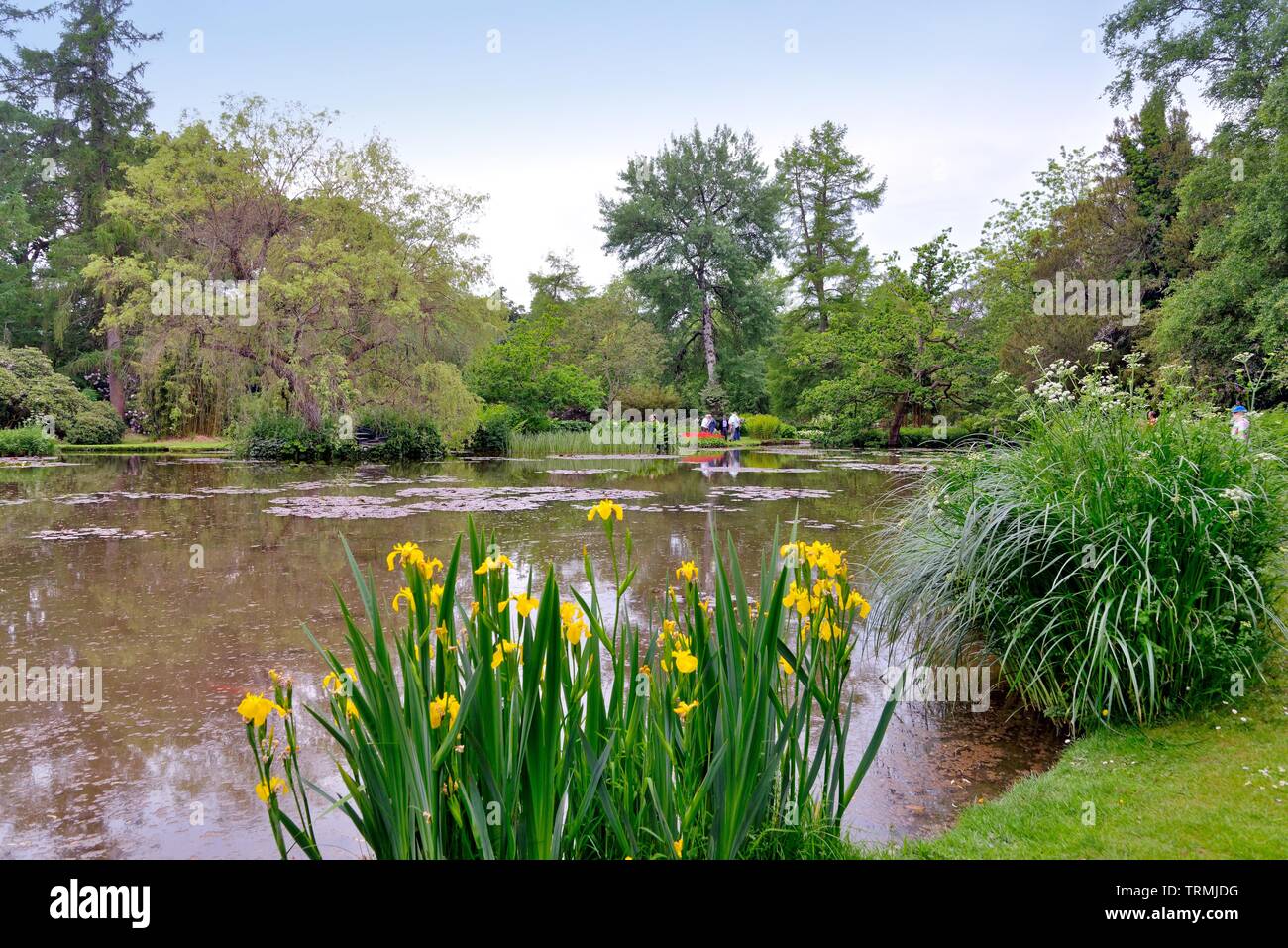 The Longstock Water Gardens, Leckford estate, Stockbridge Hampshire