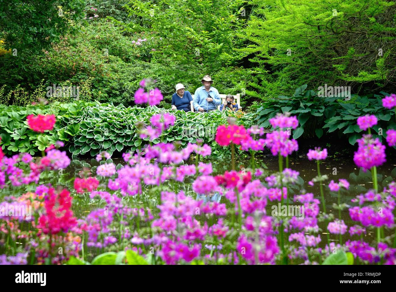 The Longstock Water Gardens, Leckford estate, Stockbridge Hampshire