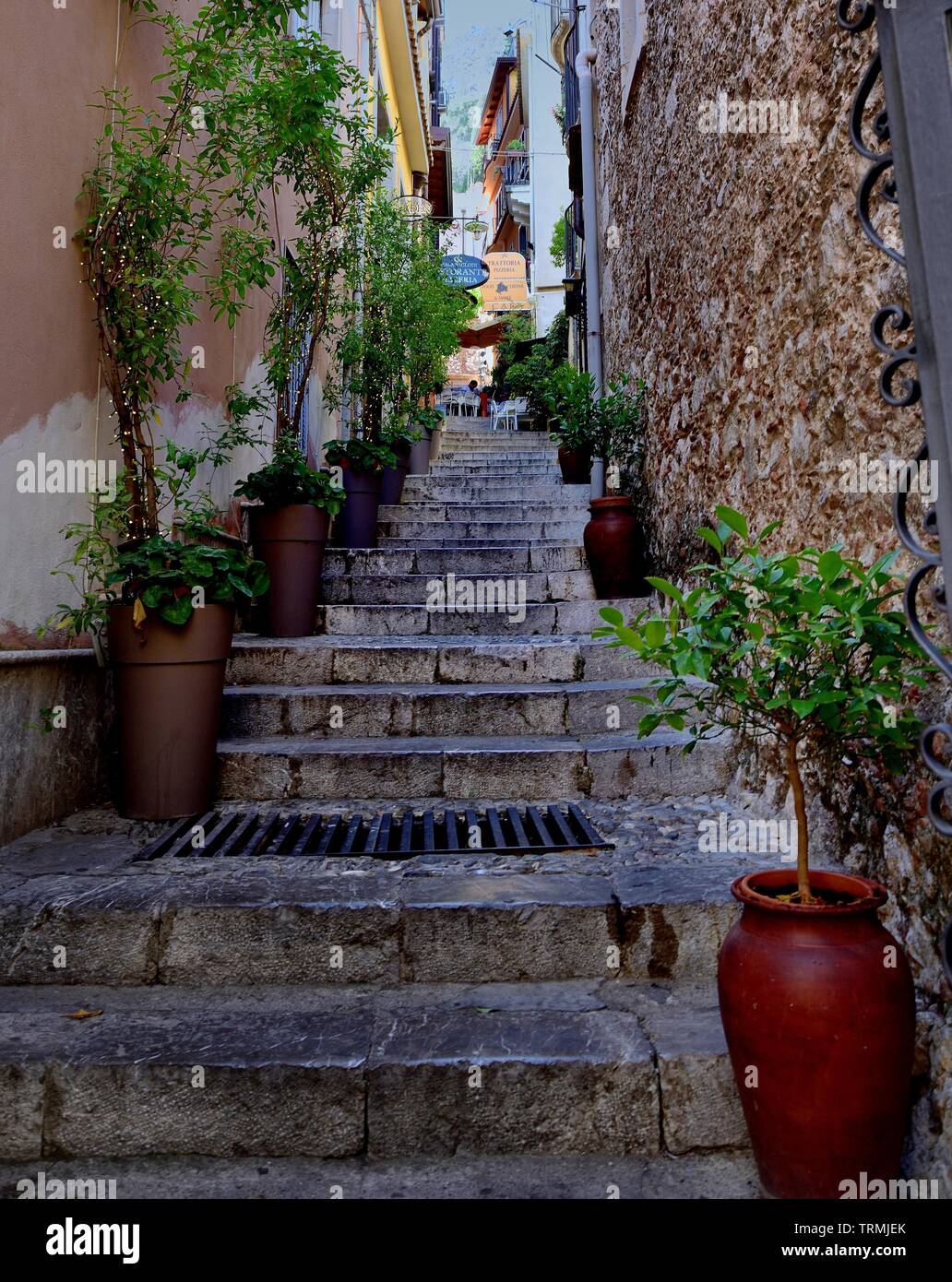Flight of steps up to the house Stock Photo - Alamy