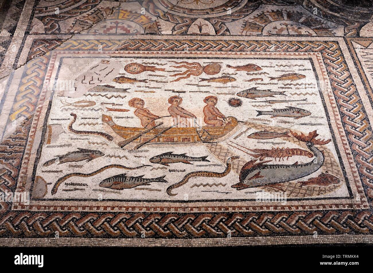 Rd Archeology High Resolution Stock Photography and Images - Alamy