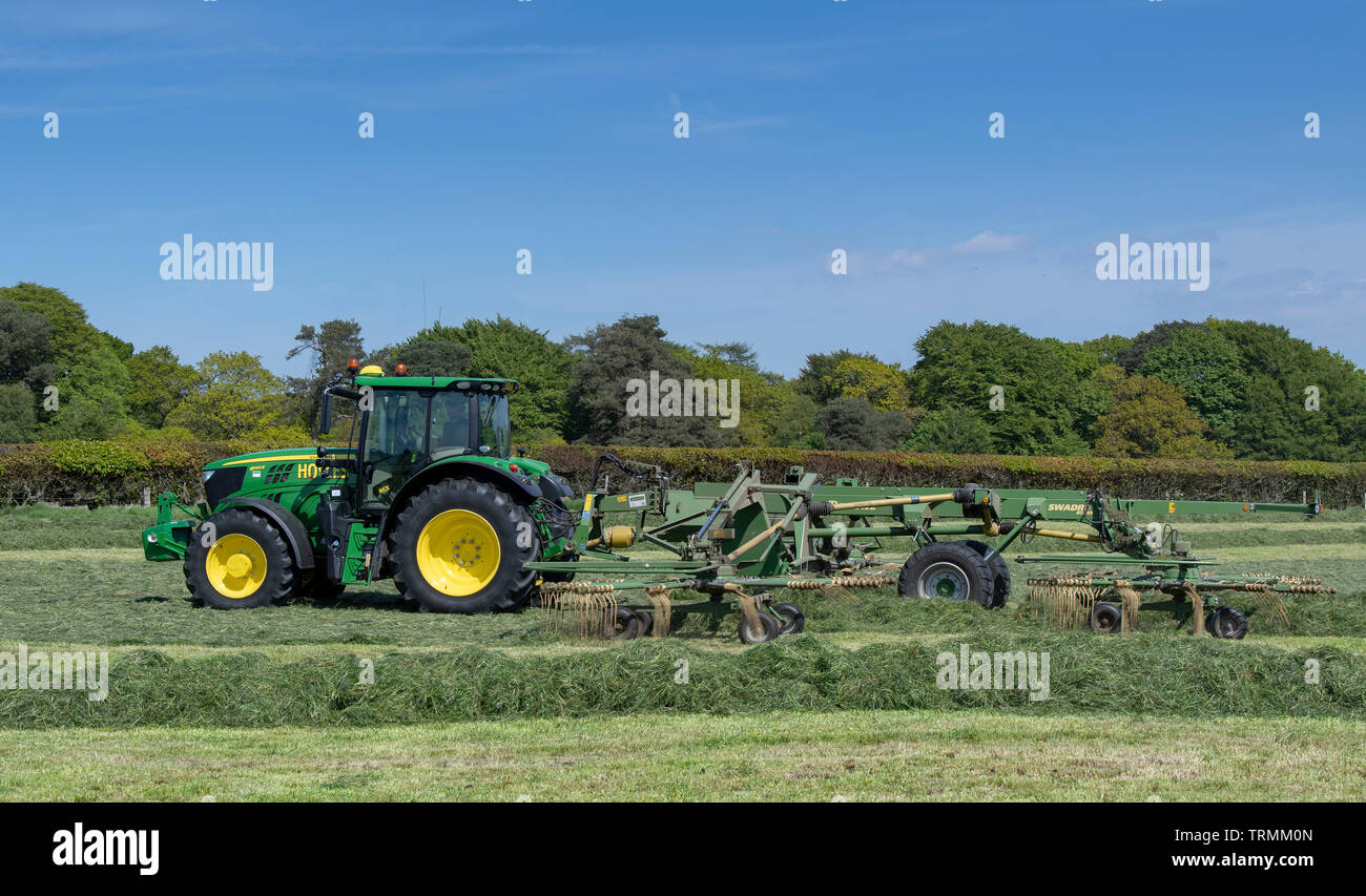 Contractor rowing up grass for silage with a Krone Swadro rake pulled by a John Deere 6145R, Lancaster, Lancashire, UK. Stock Photo