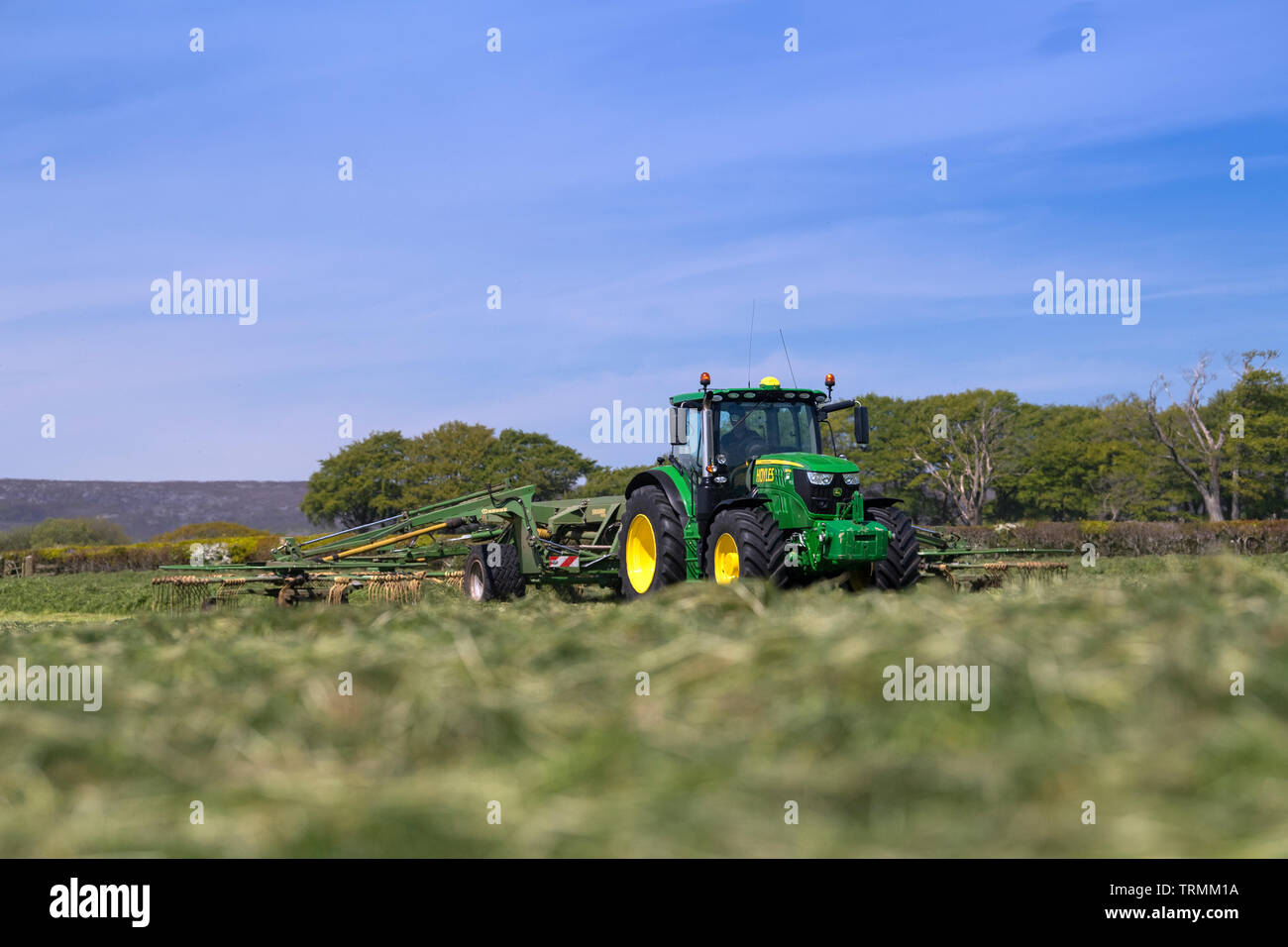 Contractor rowing up grass for silage with a Krone Swadro rake pulled by a John Deere 6145R, Lancaster, Lancashire, UK. Stock Photo