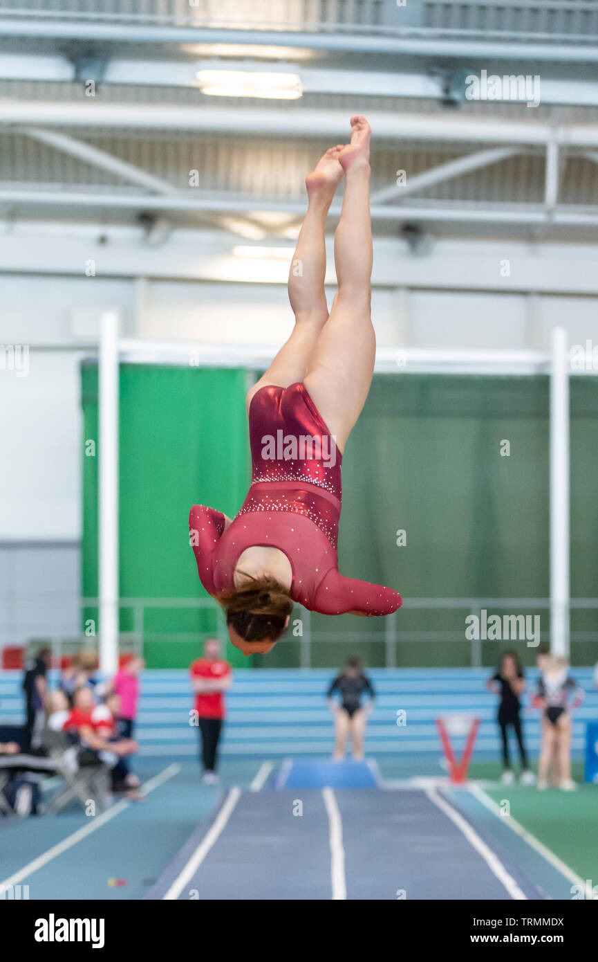 Sheffield, England, UK. 2 June 2019. Eleanor Head from Pinewood Gymnastics Club in action during Spring Series 2 at the English Institute of Sport, Sheffield, UK. Stock Photo