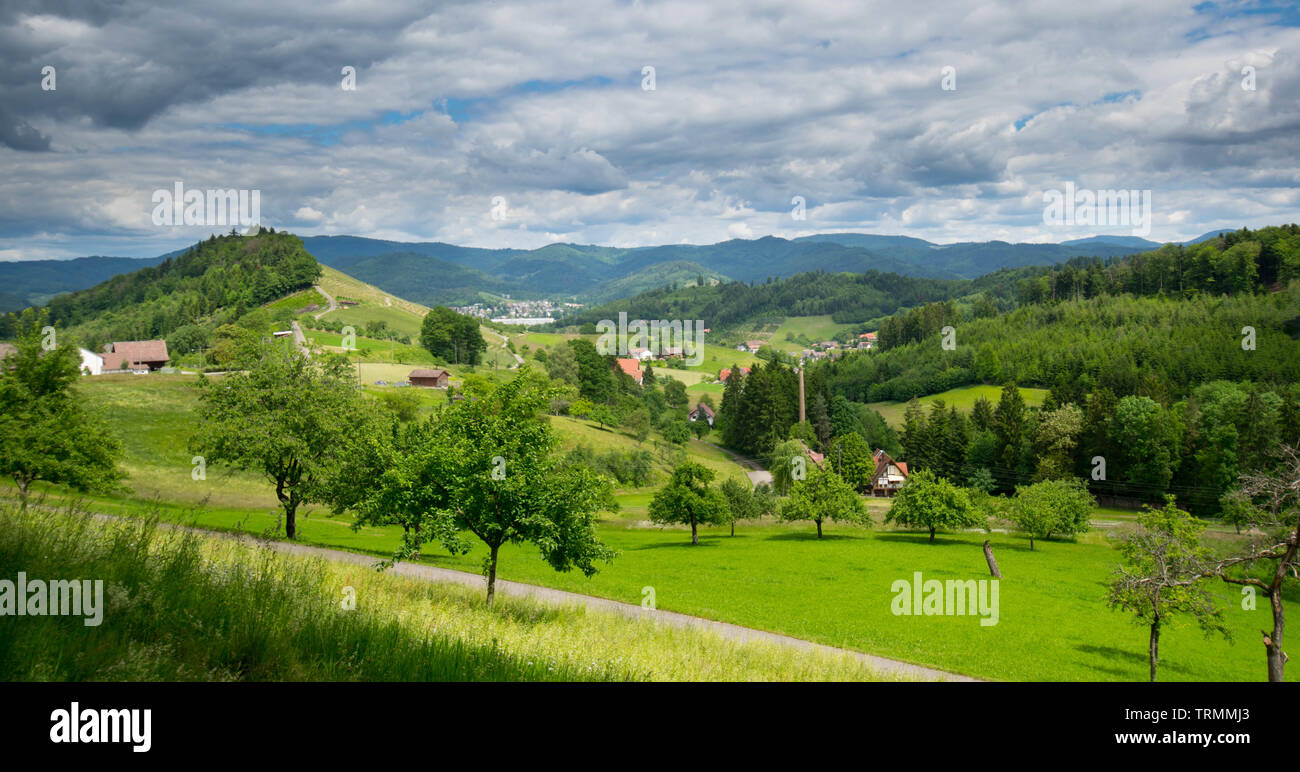 landscape at Berghaupten in the Black forest in germany Stock Photo