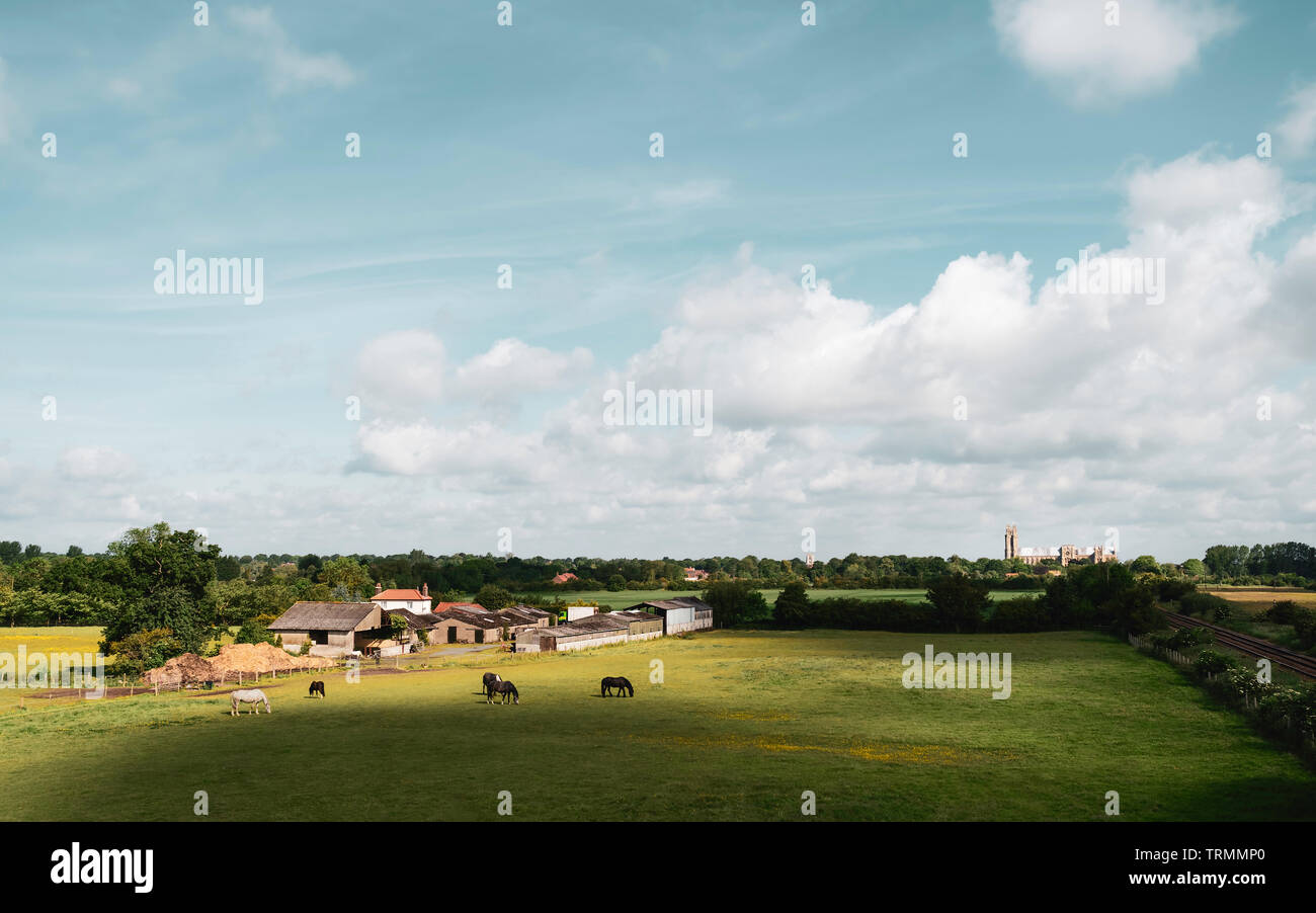 Rural scene with farmhouses, horses, fields, and ancient minster on horizon on bright spring morning in Beverley, Yorkshire, UK. Stock Photo
