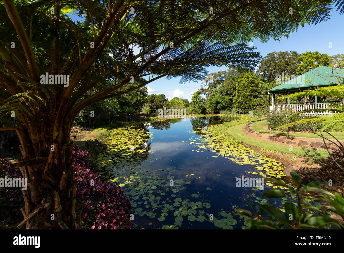 Garden path flowers australia hi-res stock photography and images - Alamy